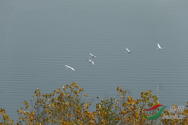 _E8J1290.jpg