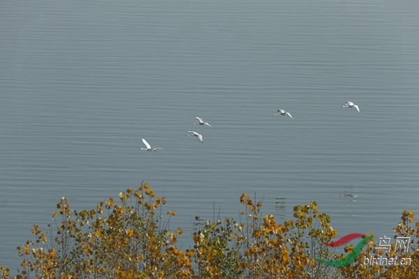 _E8J1289.jpg