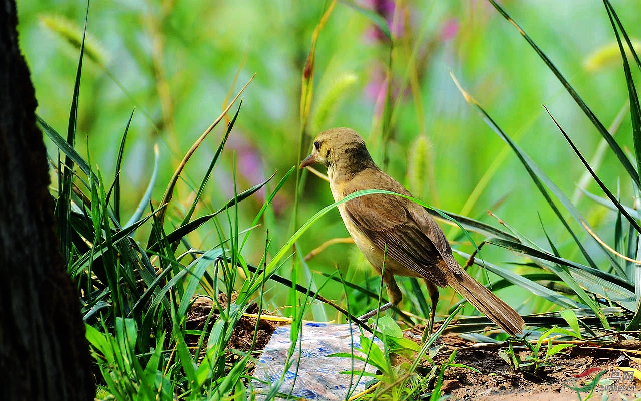 DSC_3680.JPG