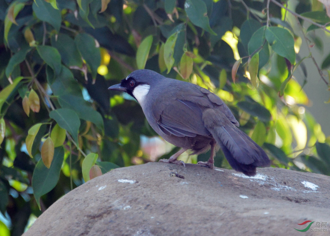 DSC_3926.jpg