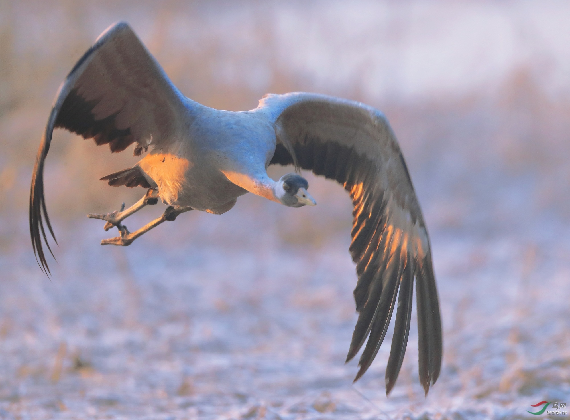 6 - ����.JPG