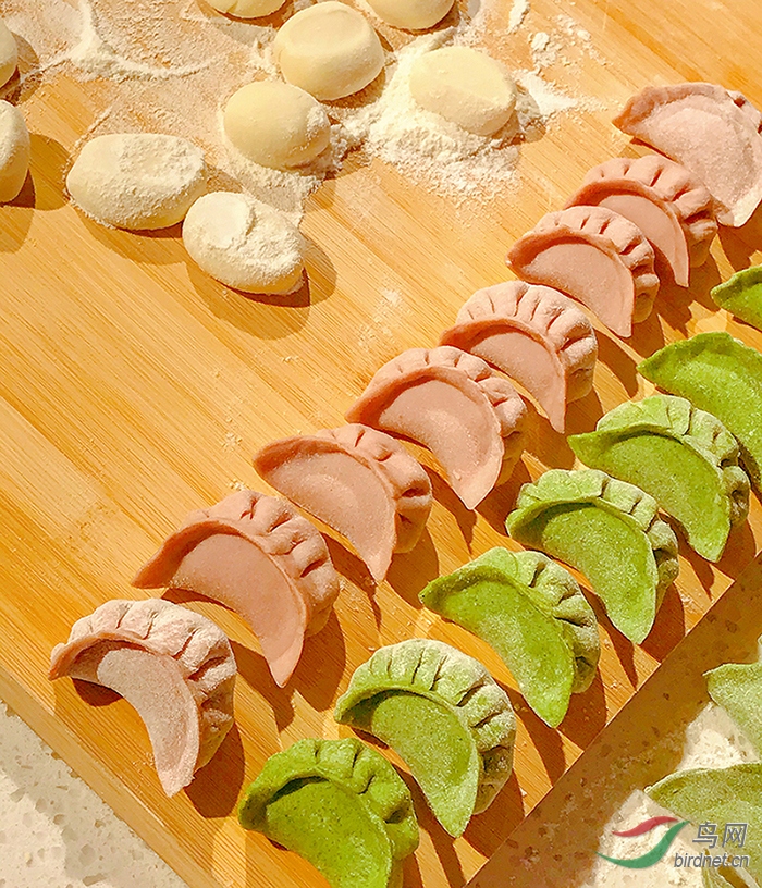 ��ɫ���� ����.jpg