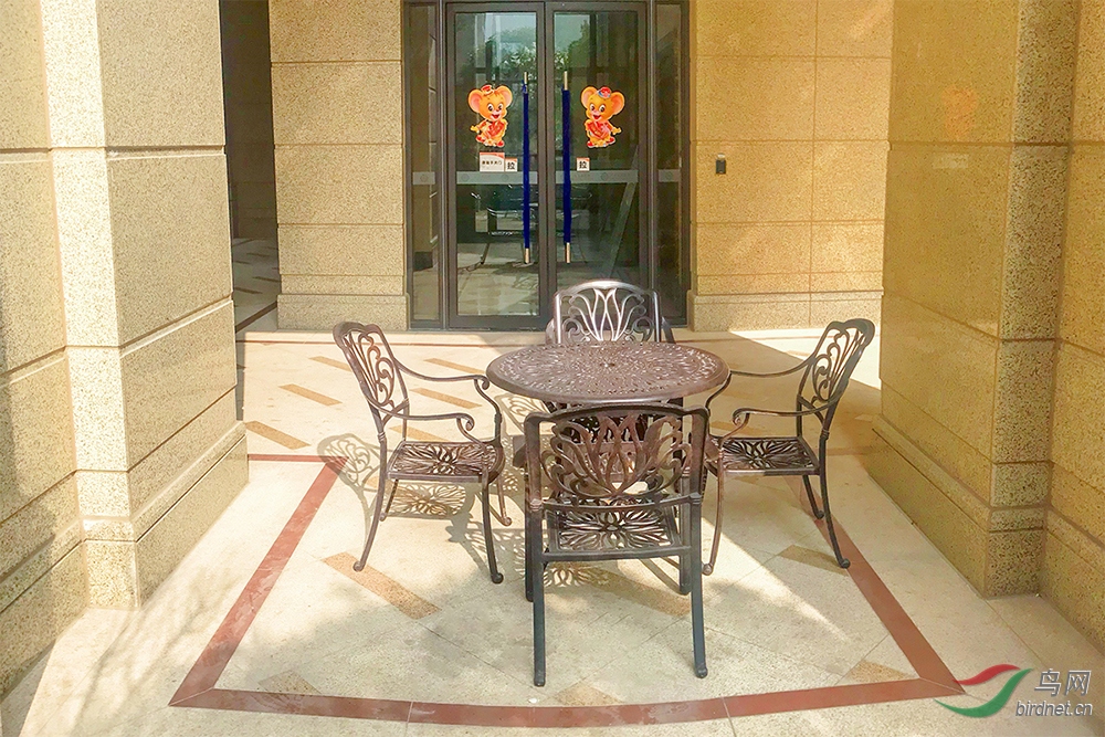 2020_01_19_12_14_IMG_7640 ����.jpg