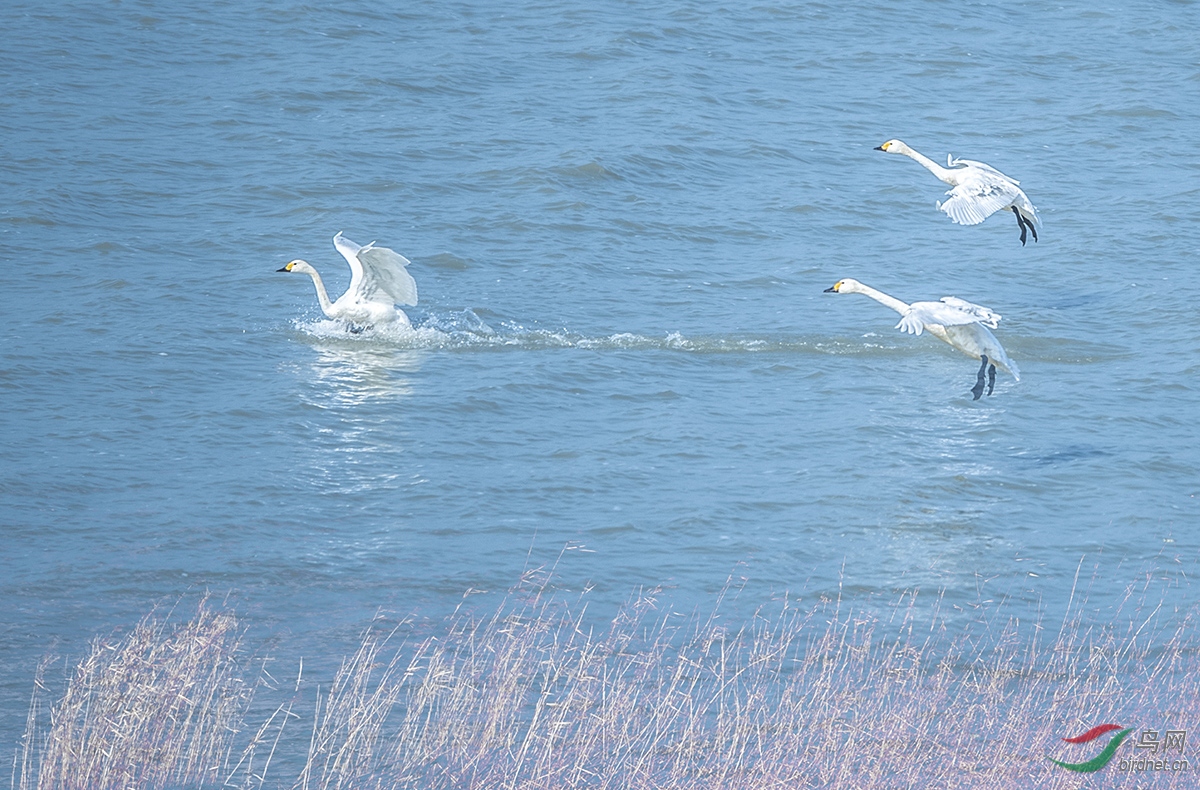 DSC_4538.jpg