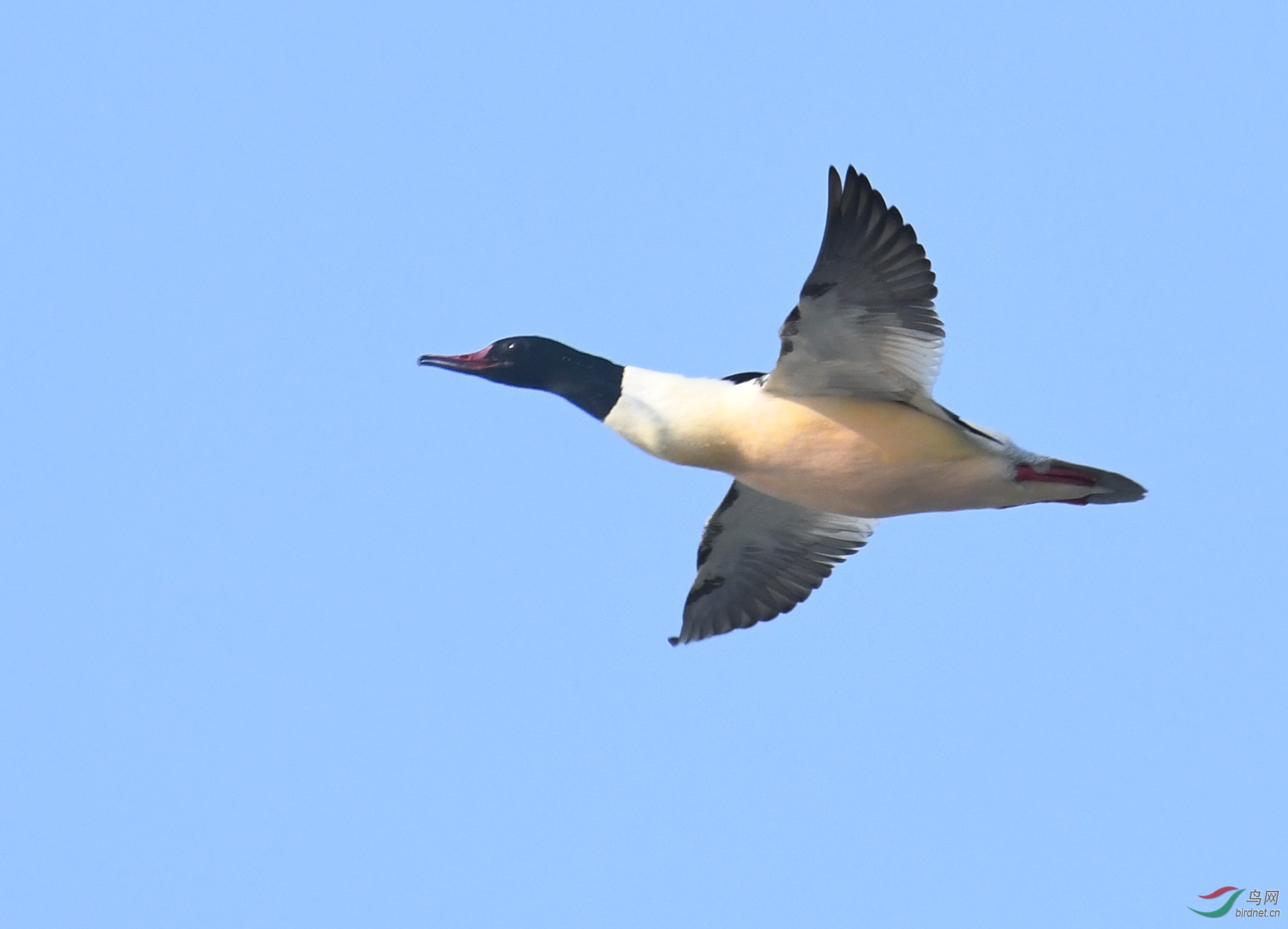 ������Ӱ 1579����.jpg