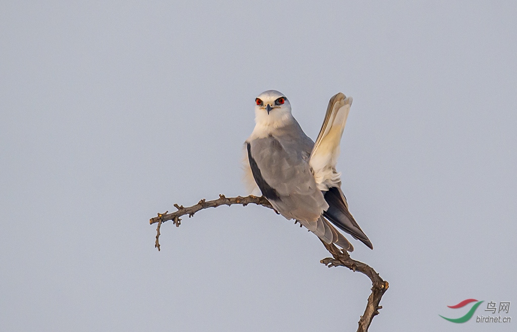 DSC_9425-0.jpg