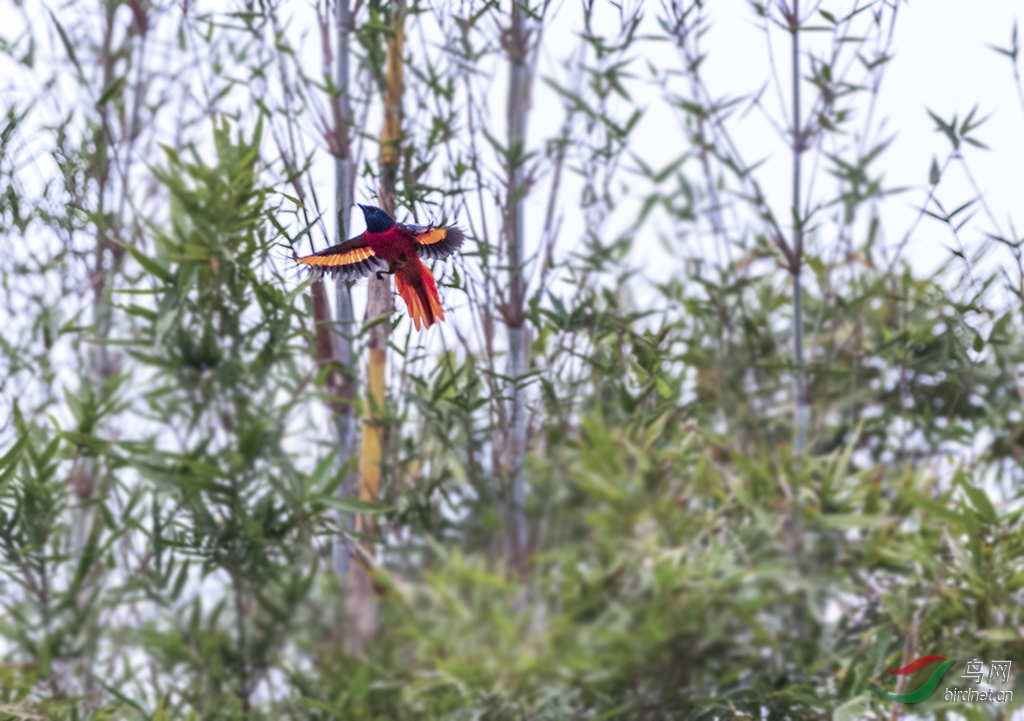 DSC_6710.jpg