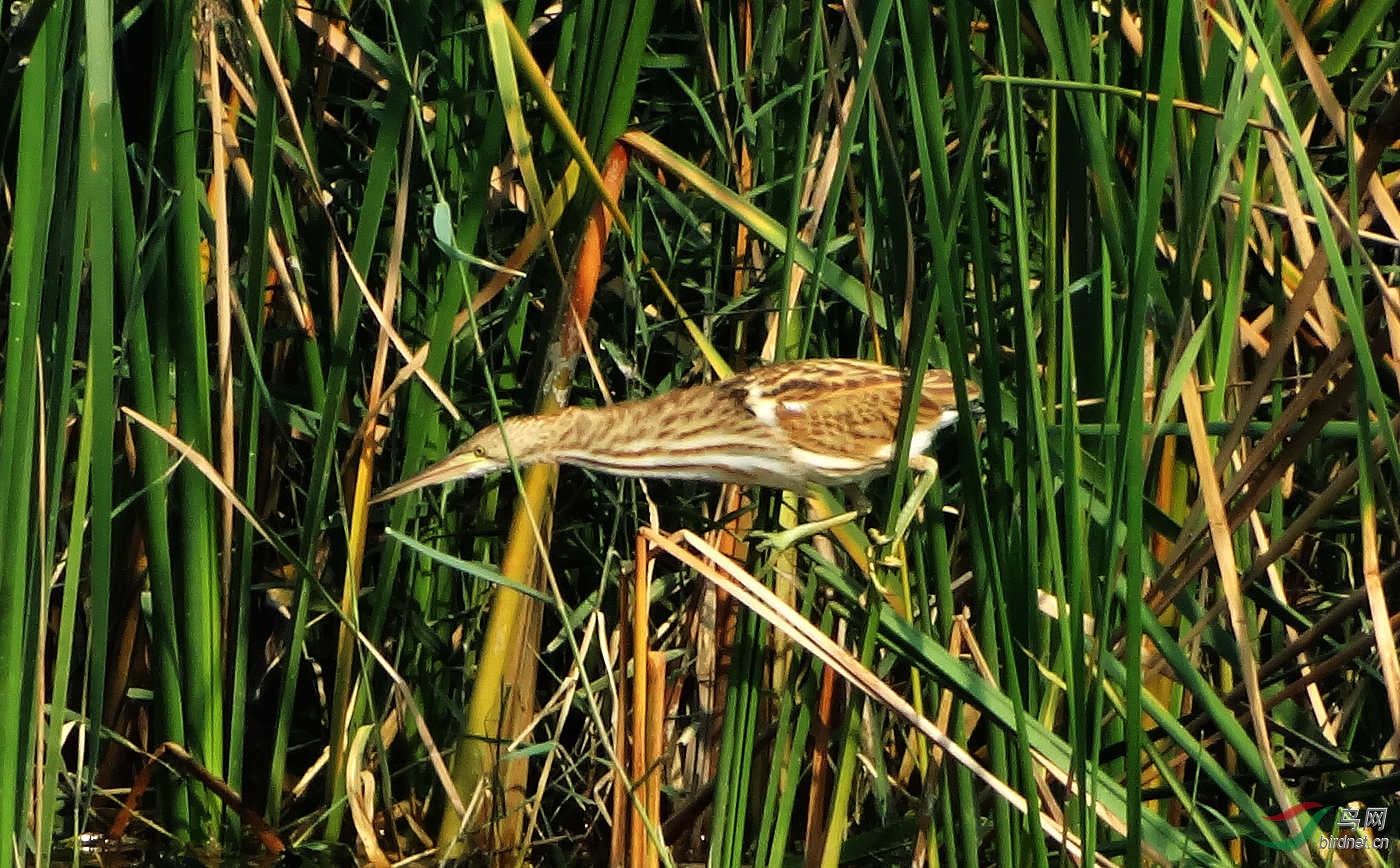 DSC07210.JPG