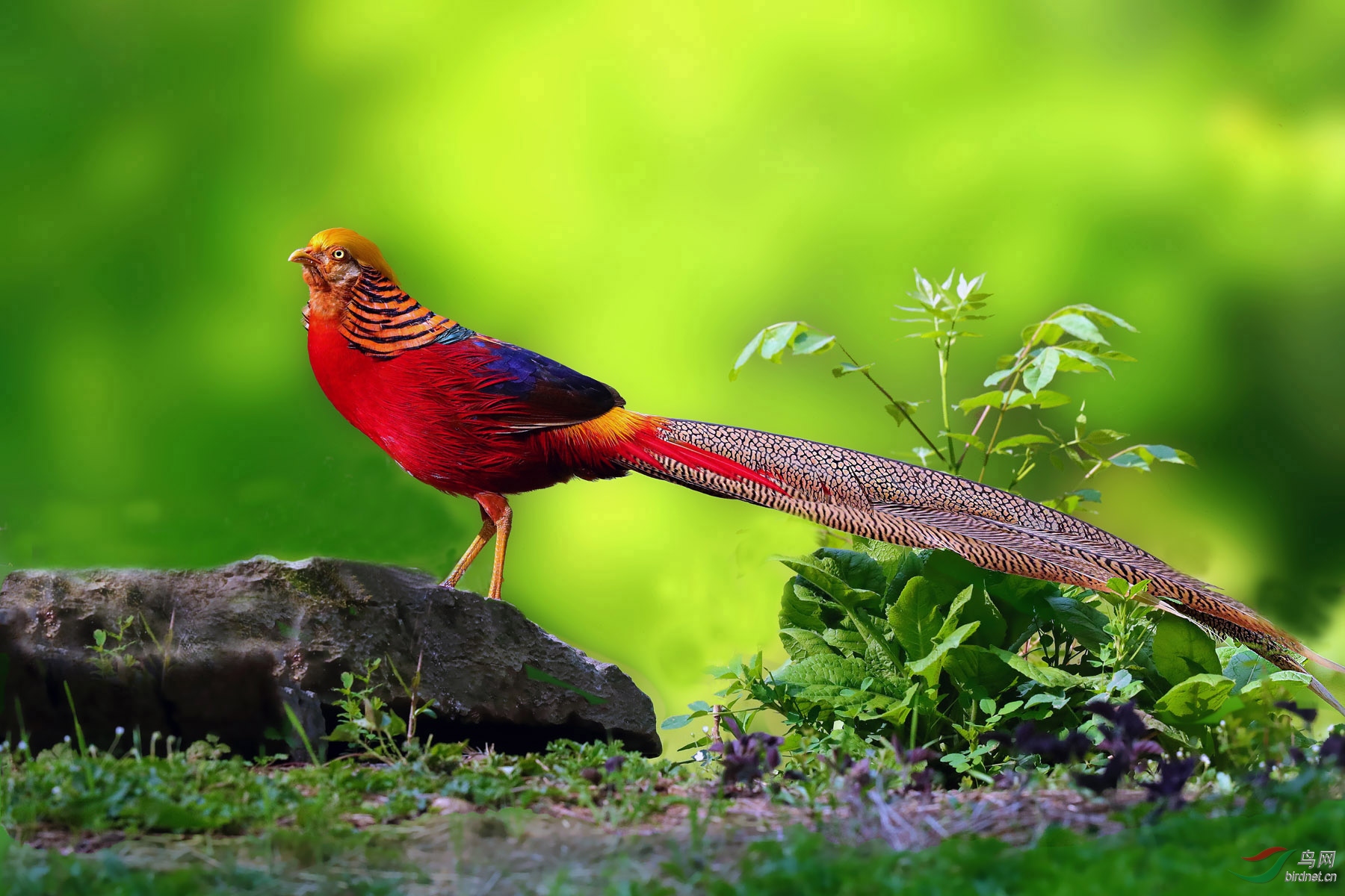 ������������ - ����.jpg