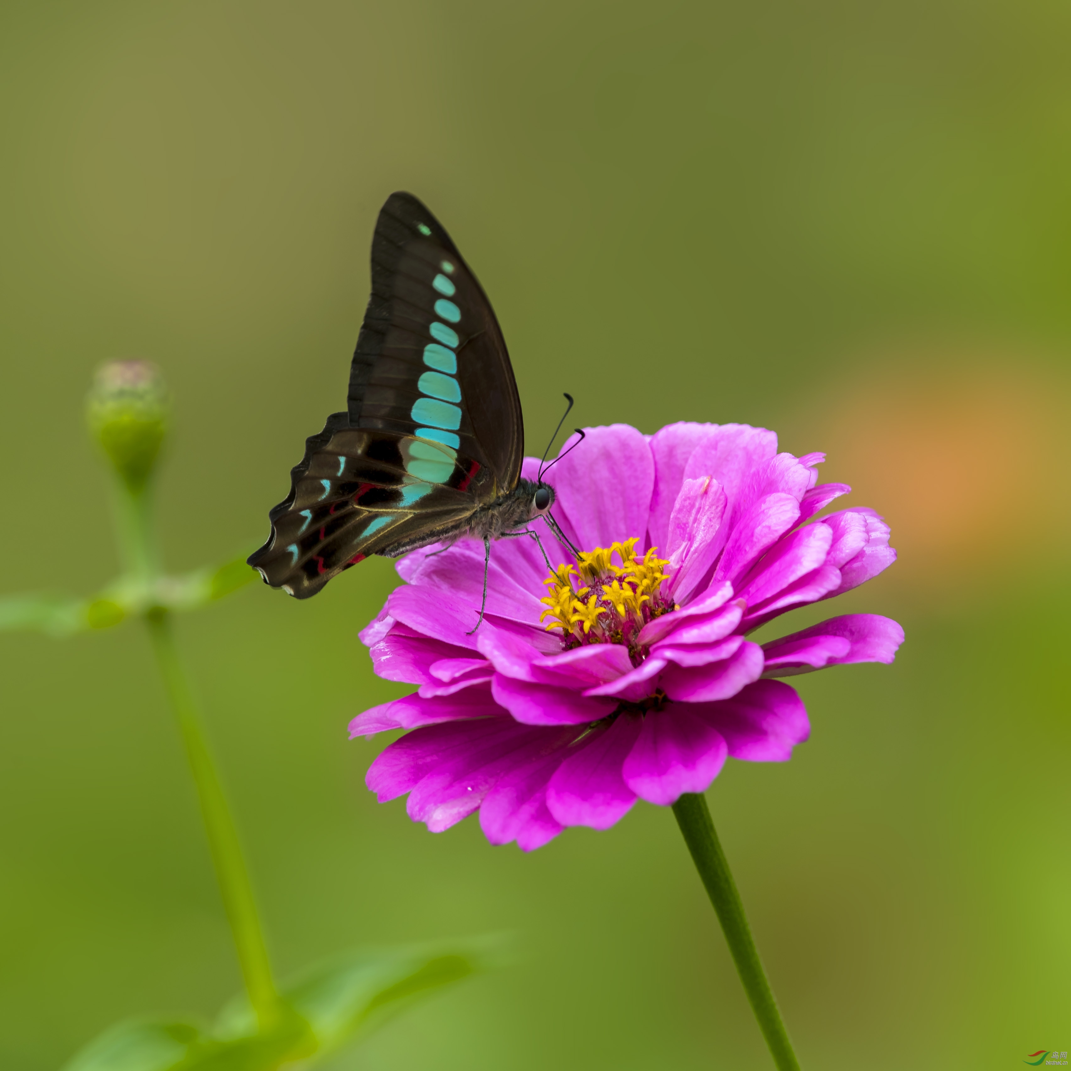 BI1I5647.jpg