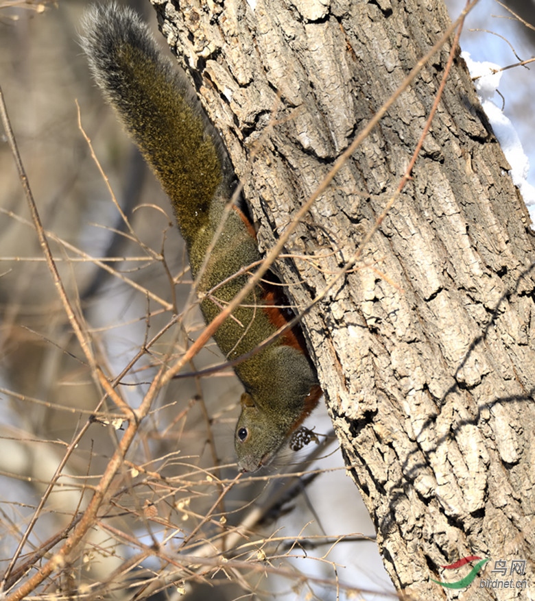 _DSC6518_00001_����.jpg