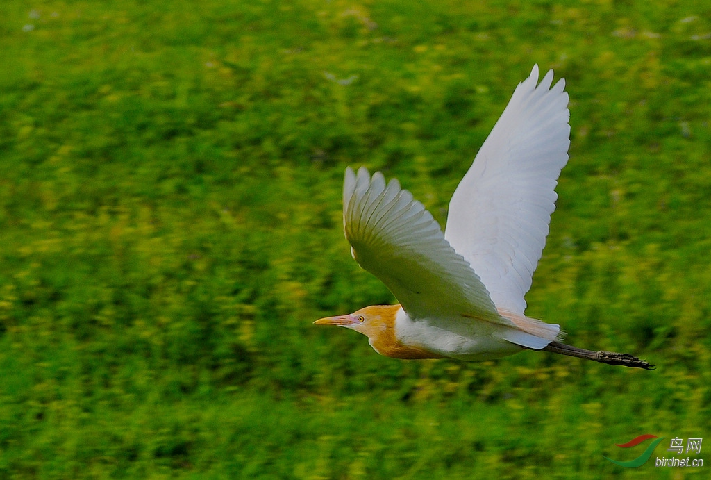 1DSC_0881.jpg