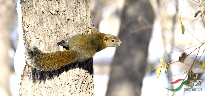 _DSC6504_00001_����.jpg
