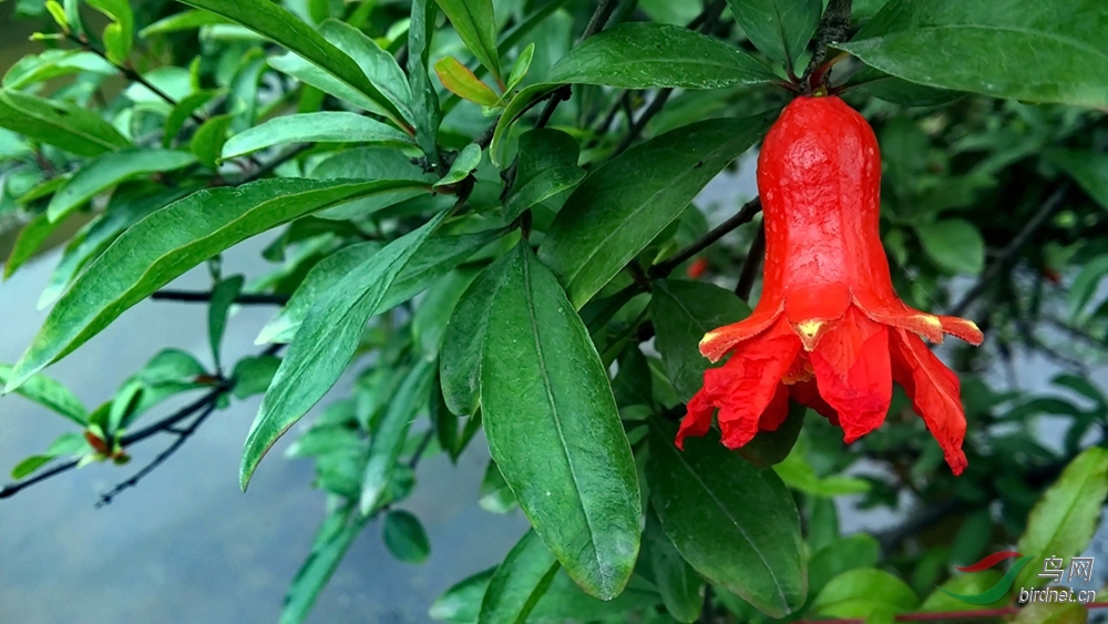 20140605_164507.jpg