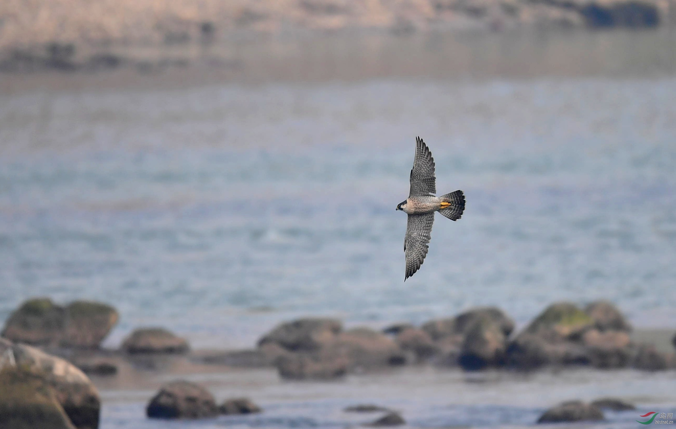 DSC_1229_副本.jpg