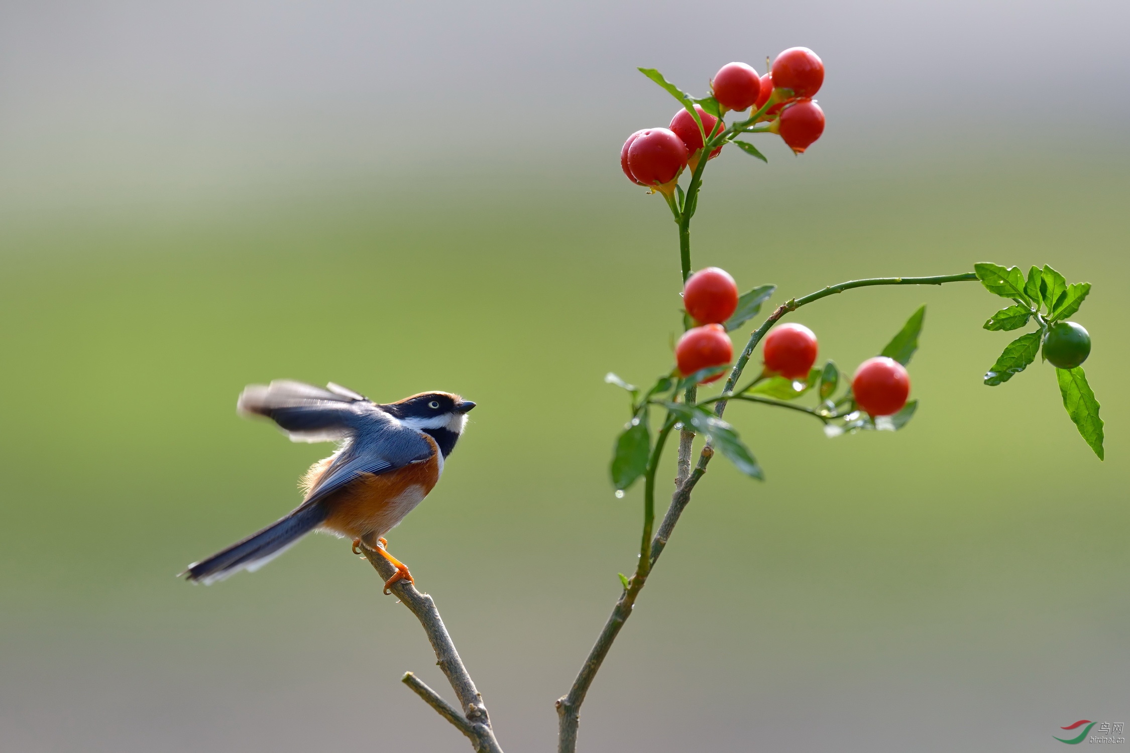 �´����֣����˵�ͷ��