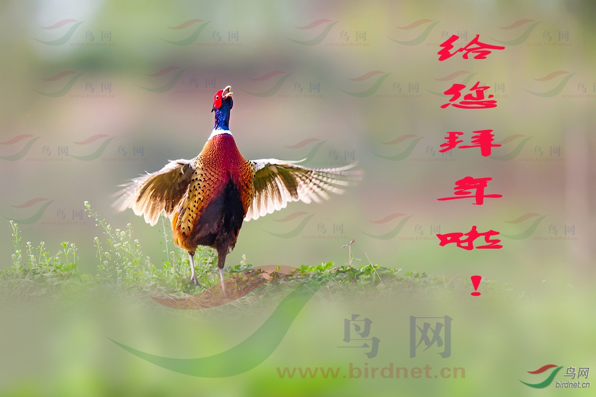 δ����-212.jpg