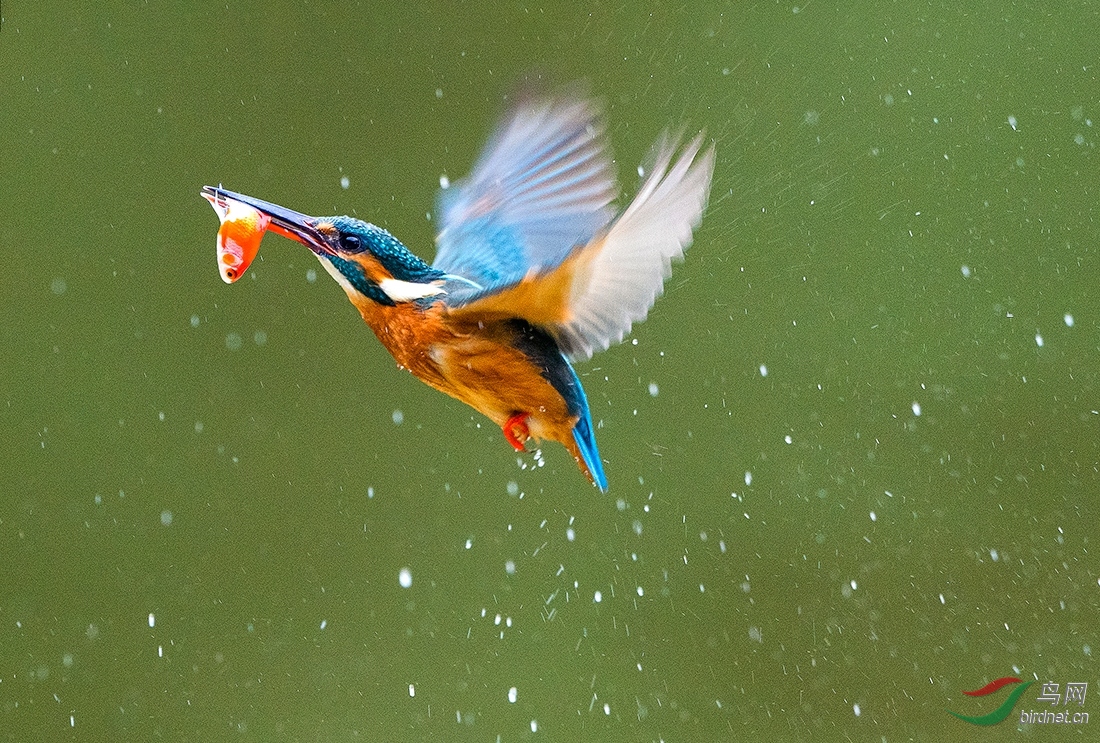 DSC065281_��ͼ��.jpg