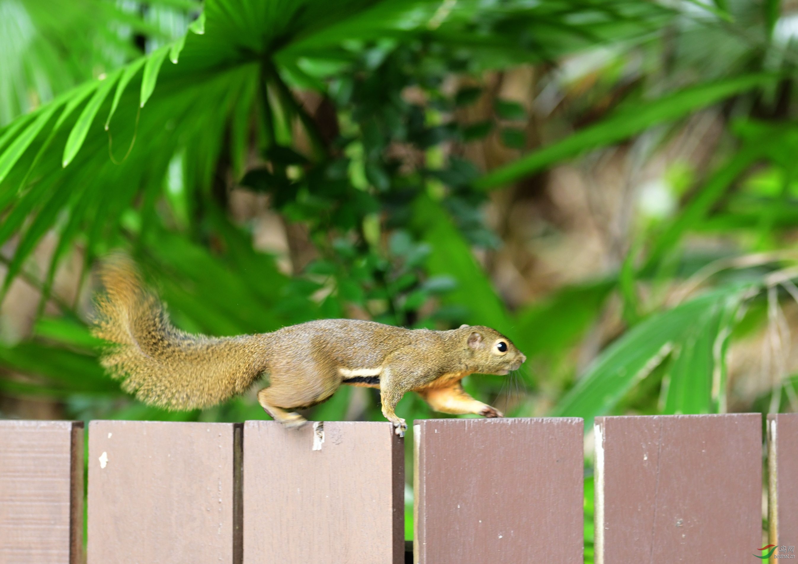 DSC_4415.JPG
