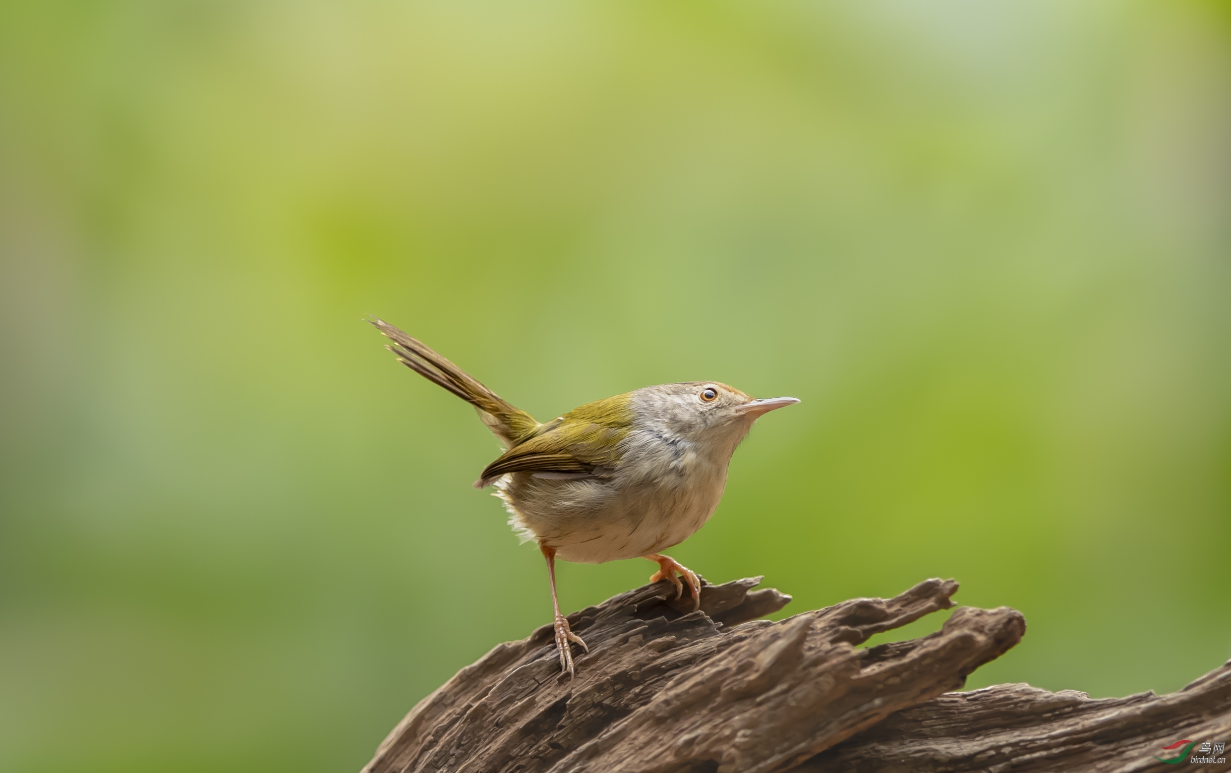 DSC_7891.jpg