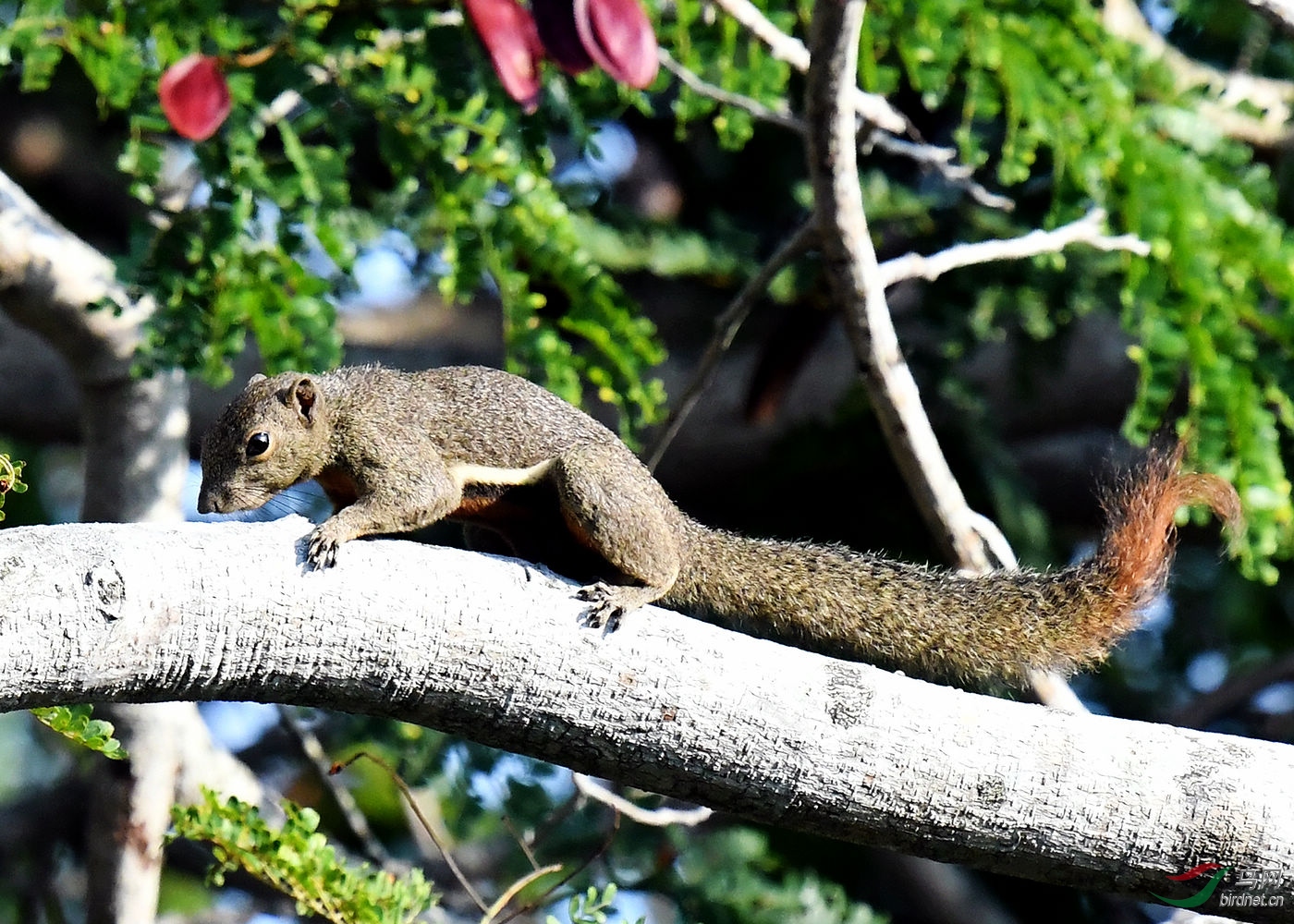 DSC_3600.jpg