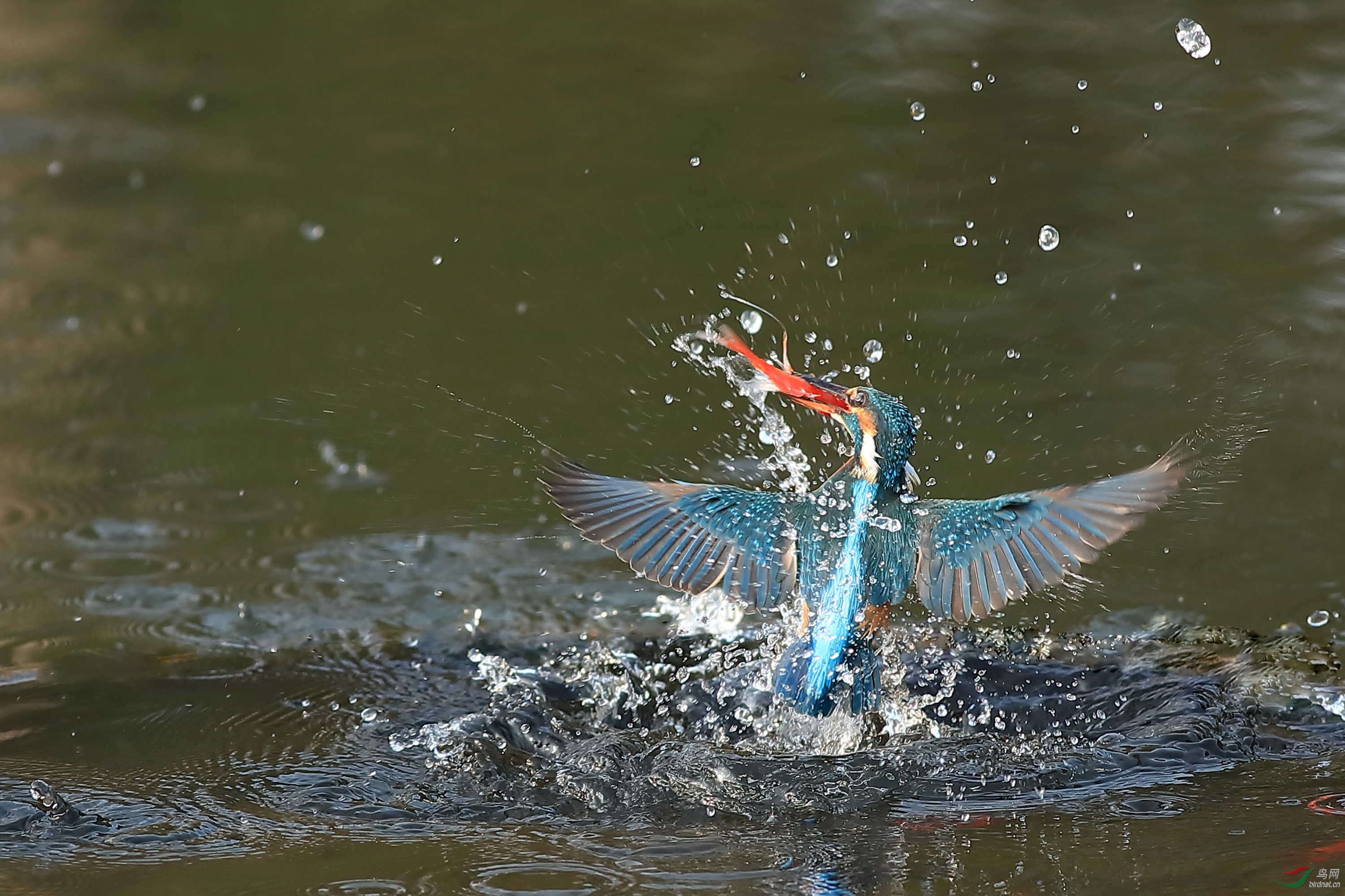 ���꼪��  �����С��㡱