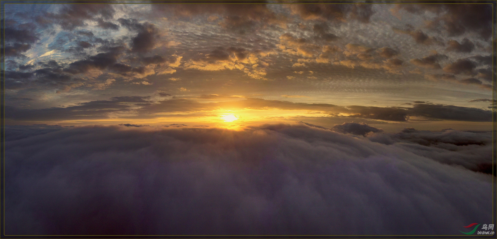 DJI_0887.jpg