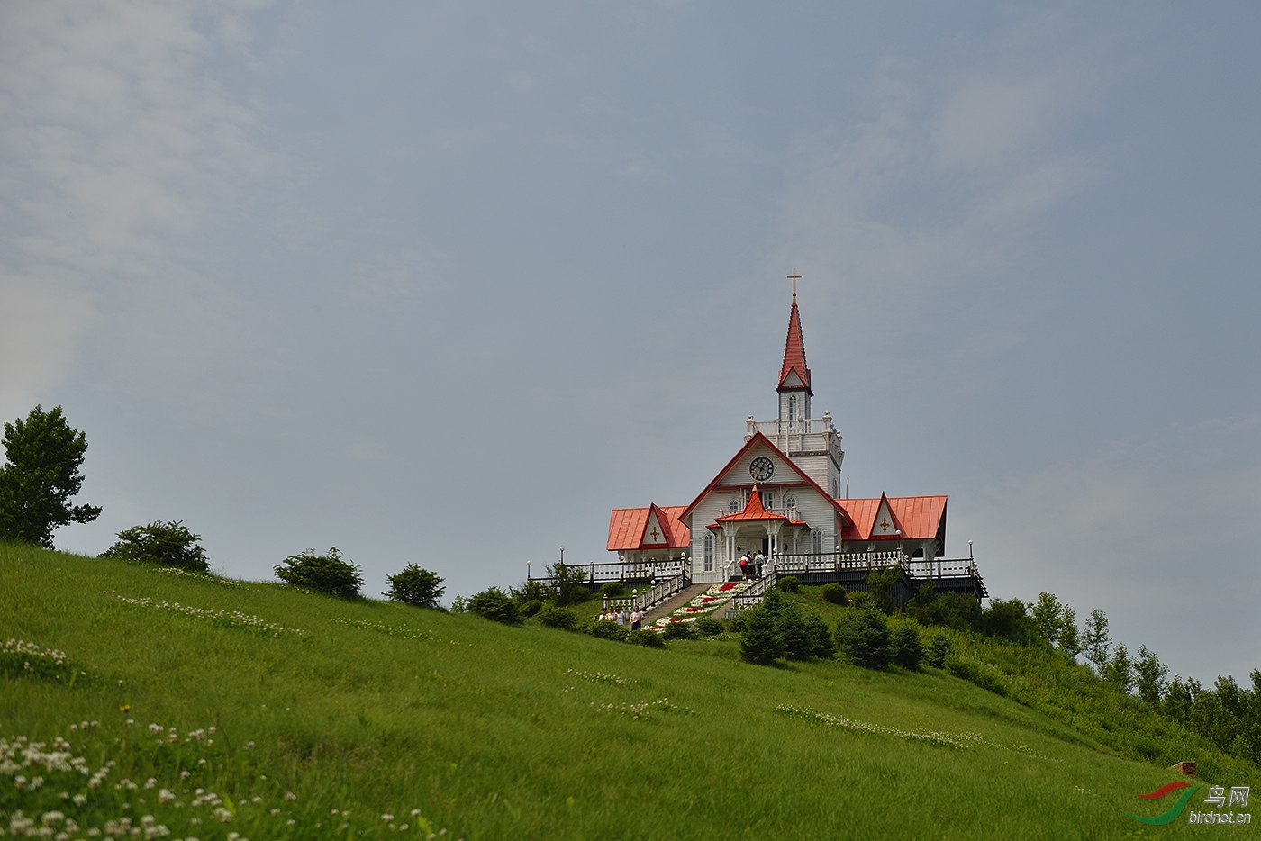 _D8A4857_16819a.jpg