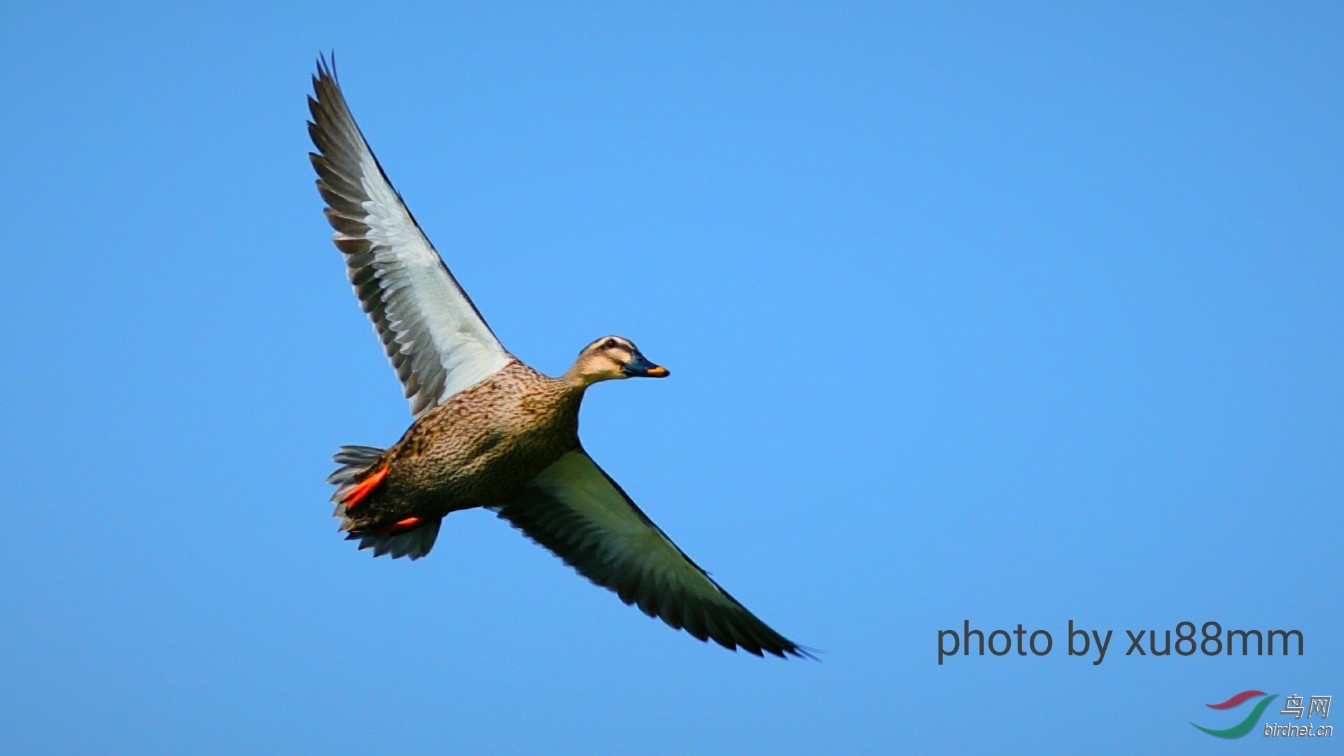 ����Լ20��