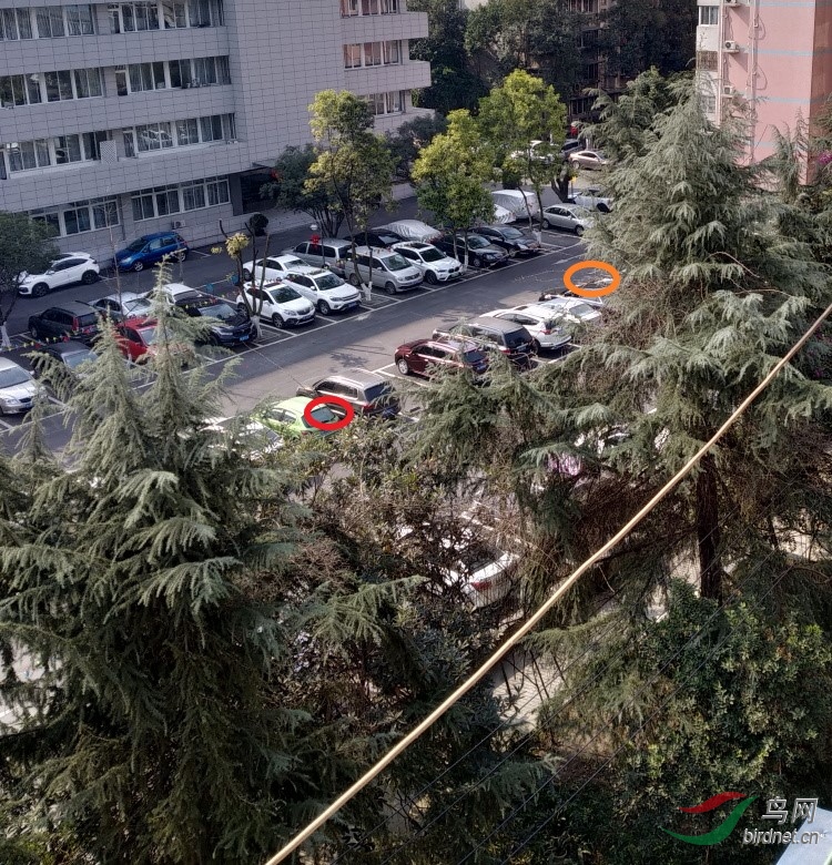 ΢��ͼƬ_20200125202824-1.jpg
