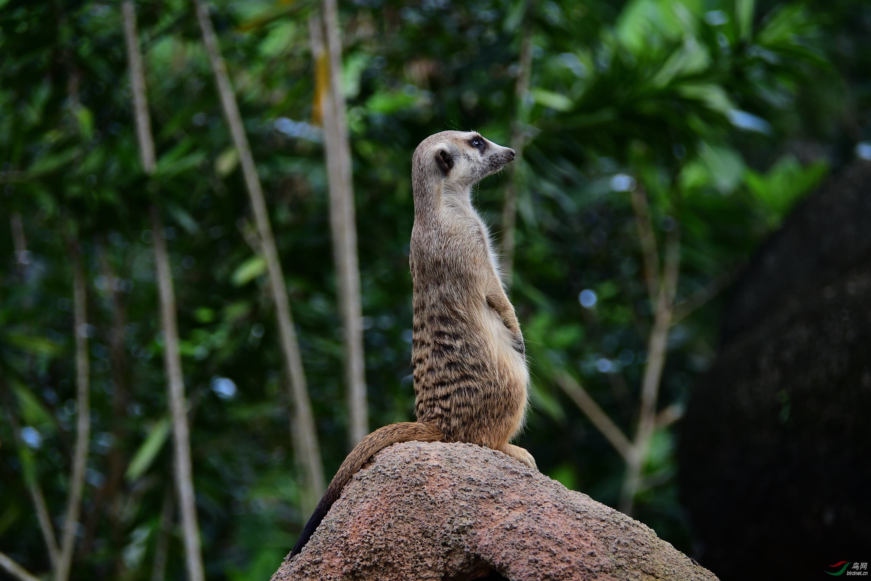 DSC_2905.JPG