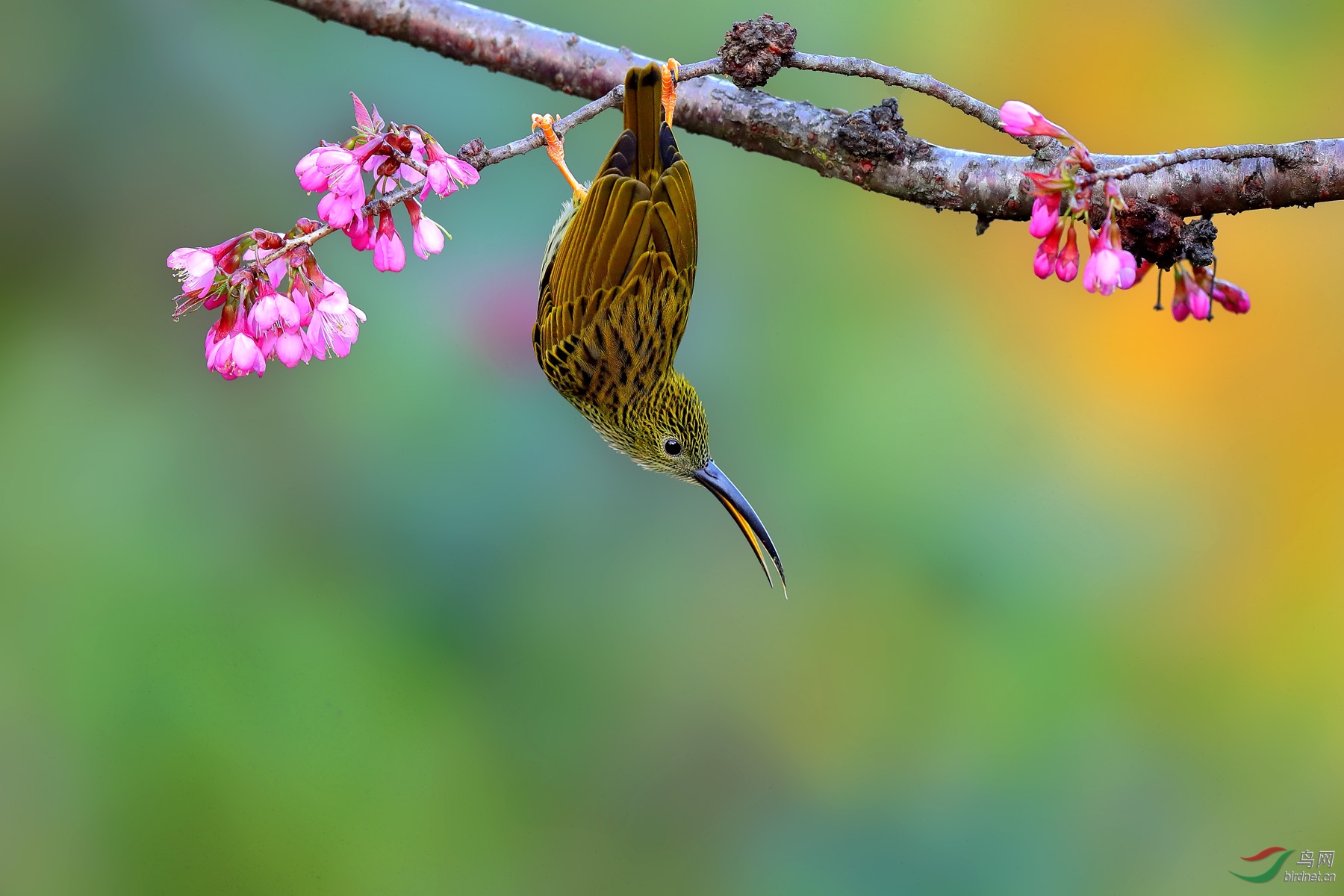 �Ʊ�������1�� - ����.jpg