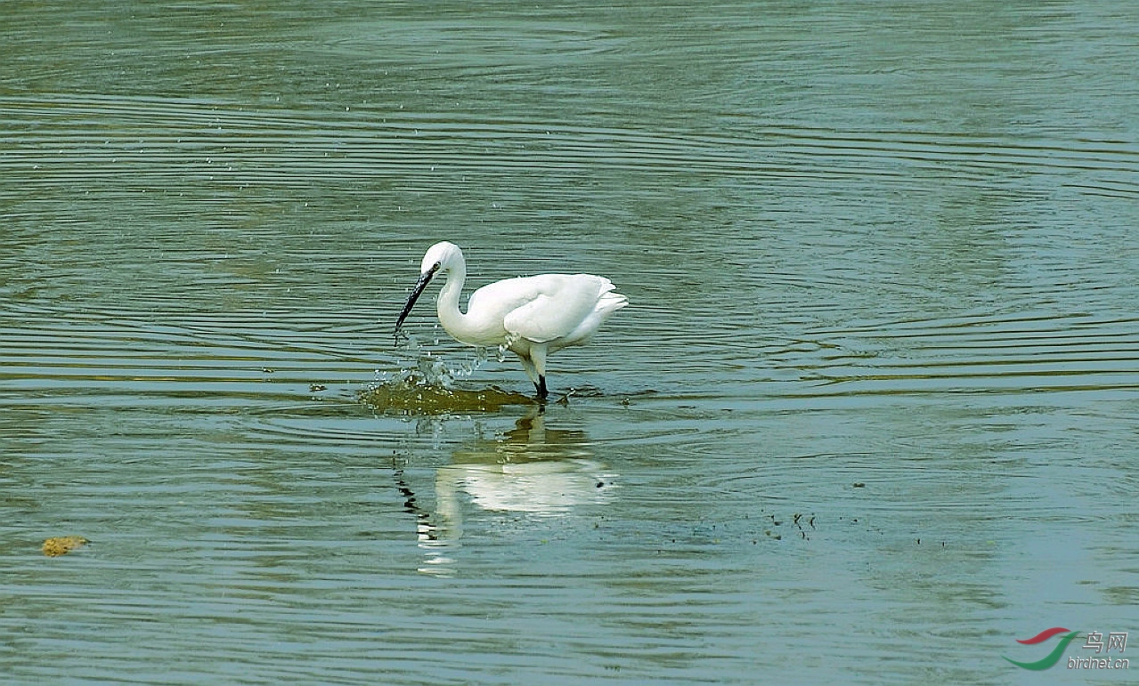 DSC_4588.JPG