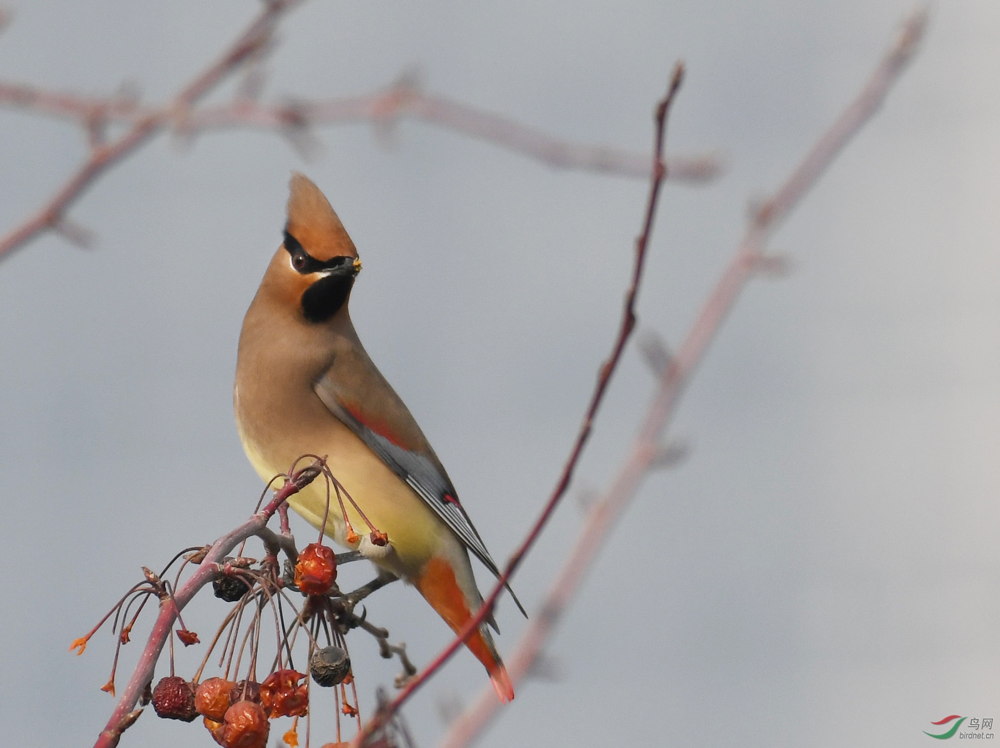 ������Ӱ 1252����.jpg