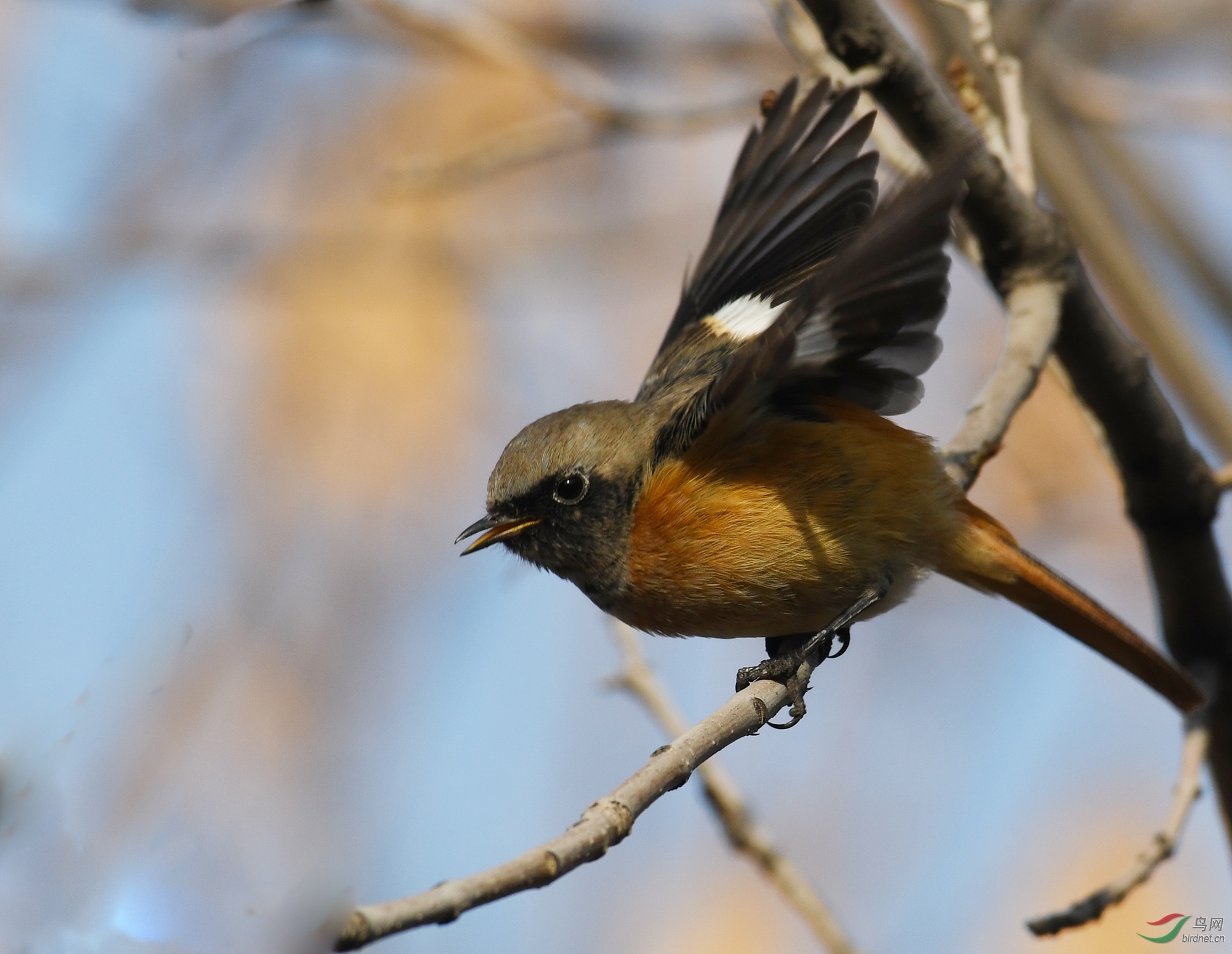 ������Ӱ 333����.jpg