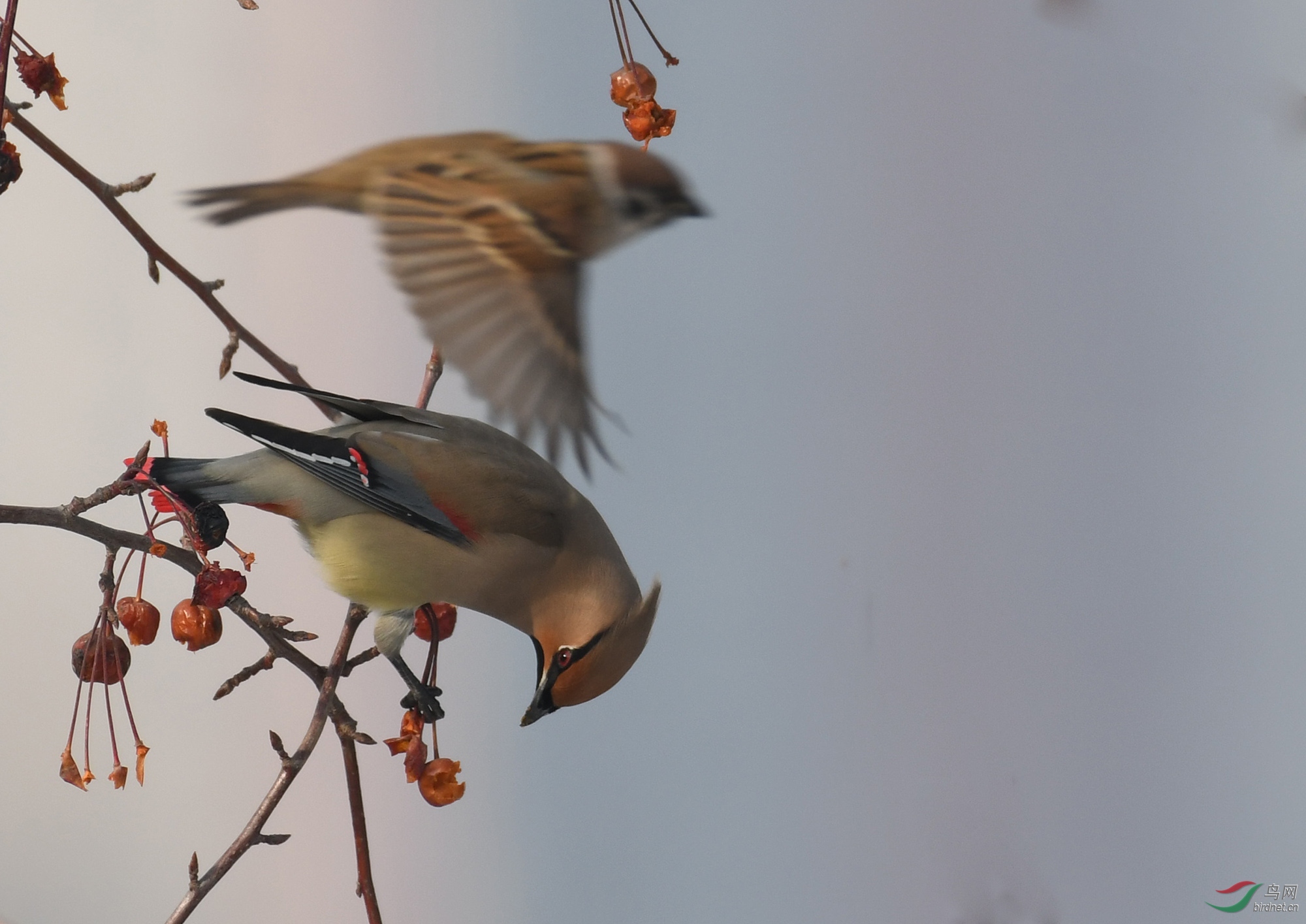 ������Ӱ 925����.jpg