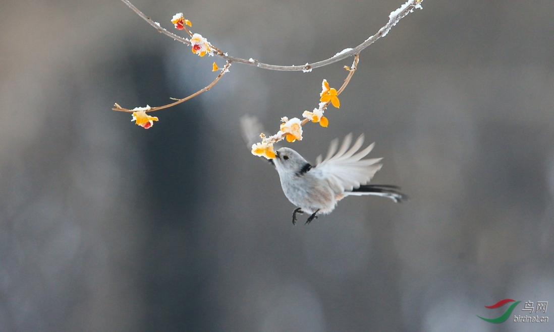 1337����_conew1 - ���� (2).jpg