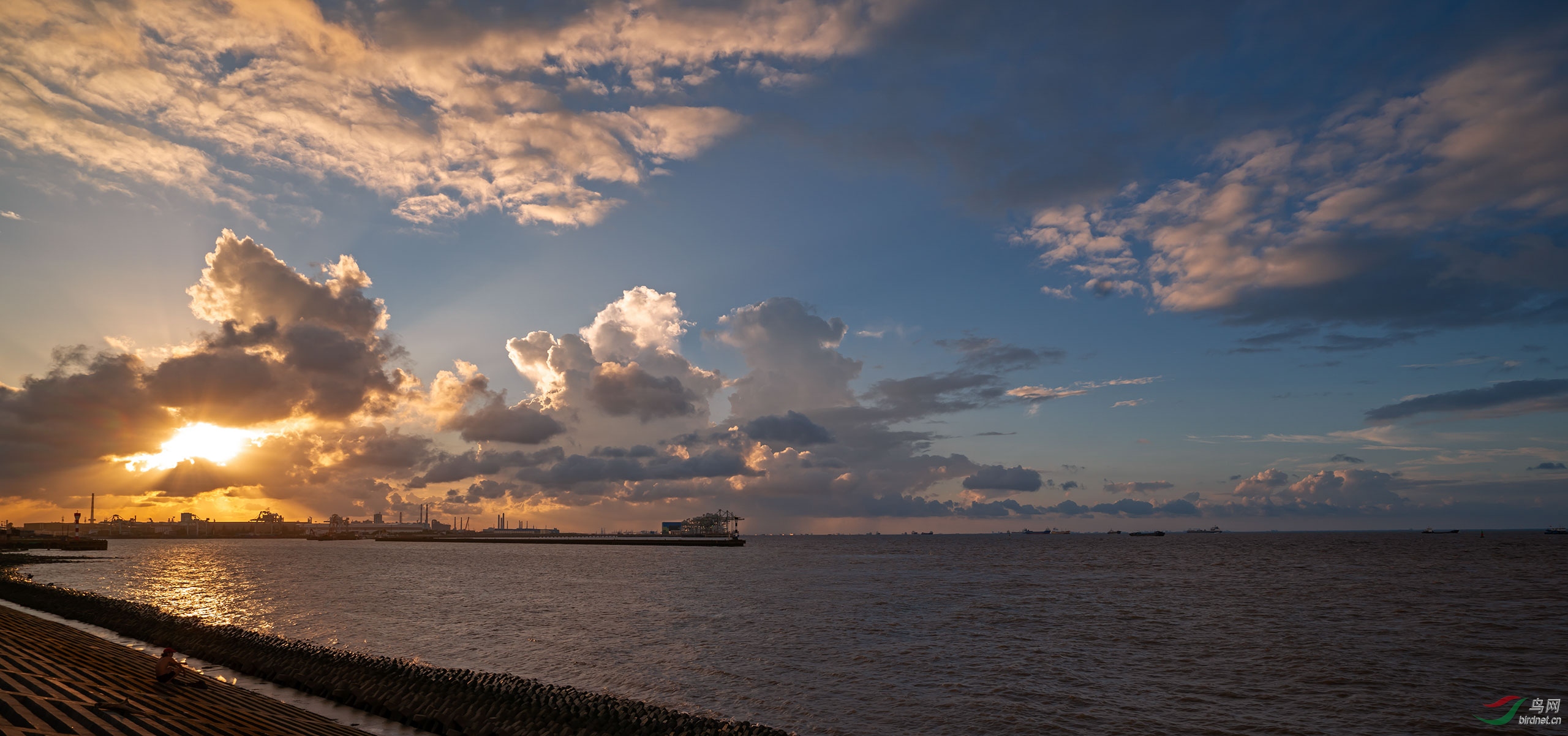 _DSC5470a_1.JPG