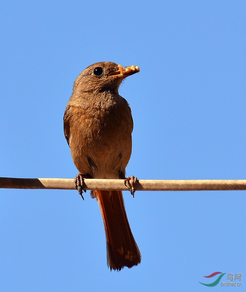 DSC_8438.JPG