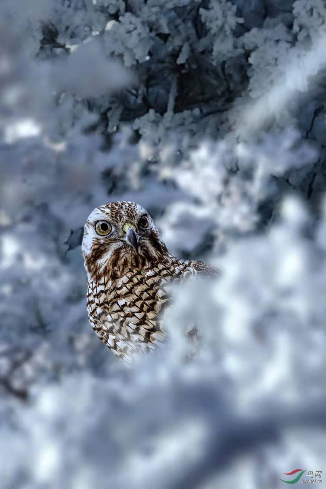 14717818b231214421966d7c08b0f9d.jpg