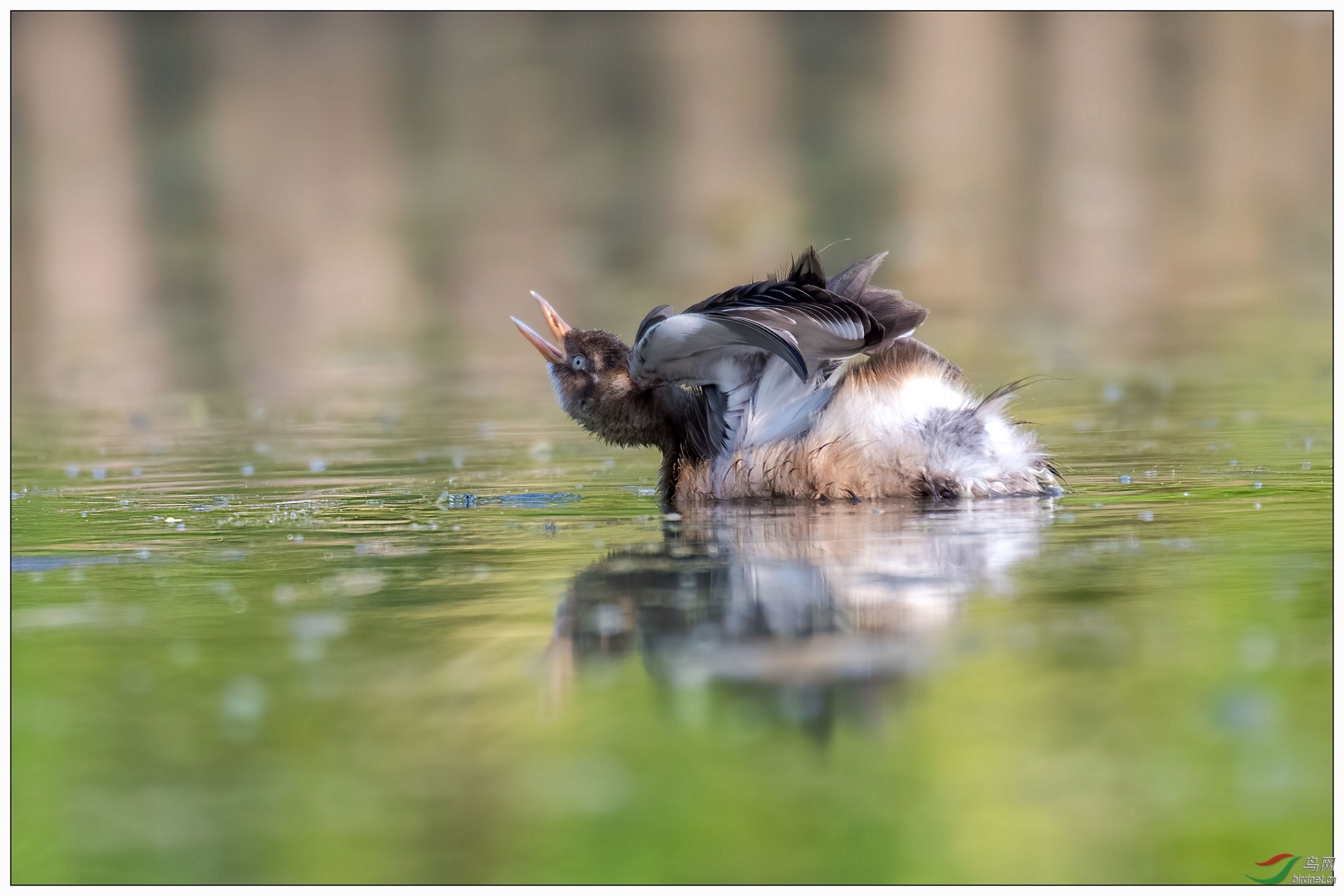 JJY_0167.jpg