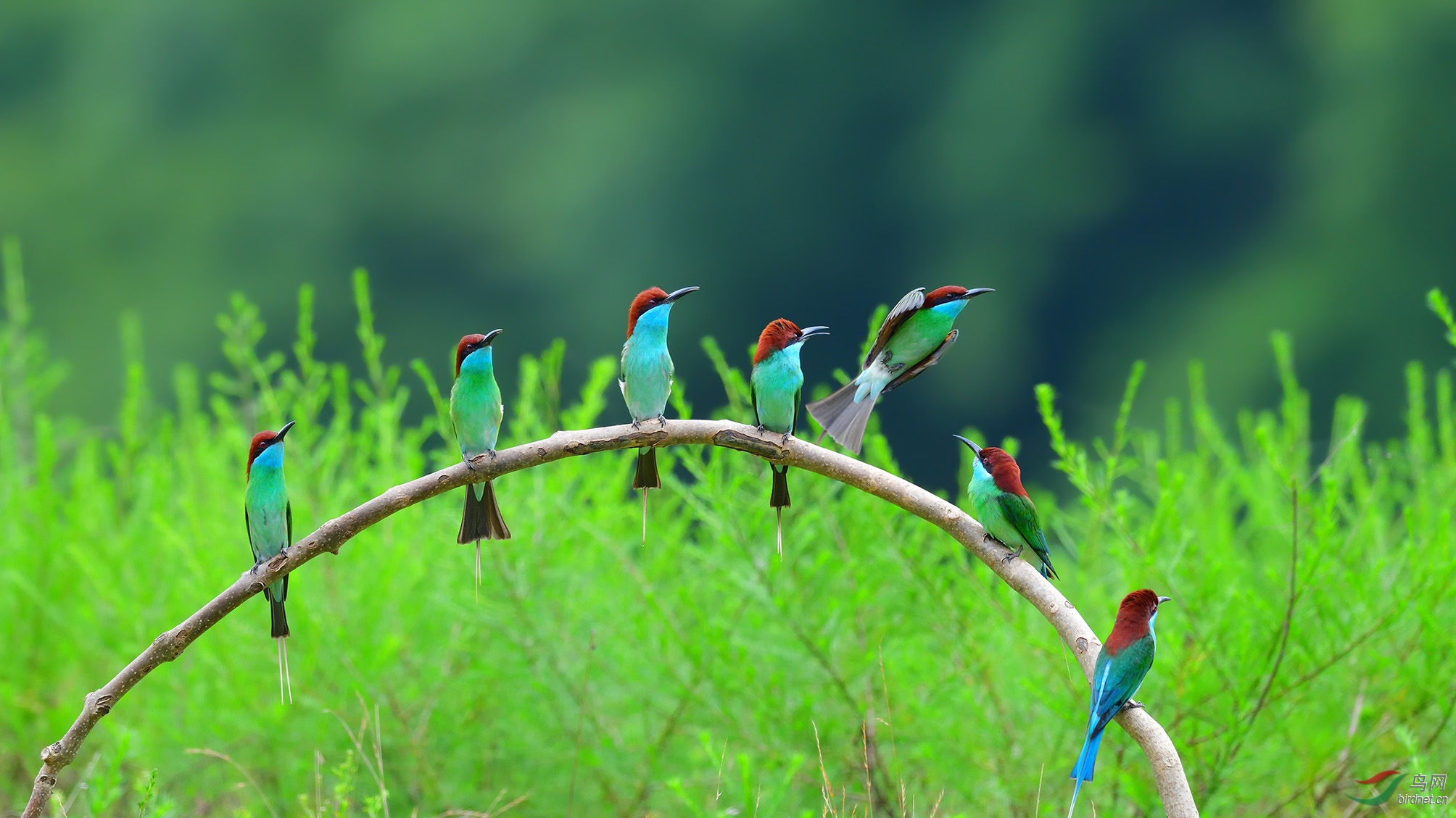 DSC_0289_��������:�����人 �ϴ�.jpg