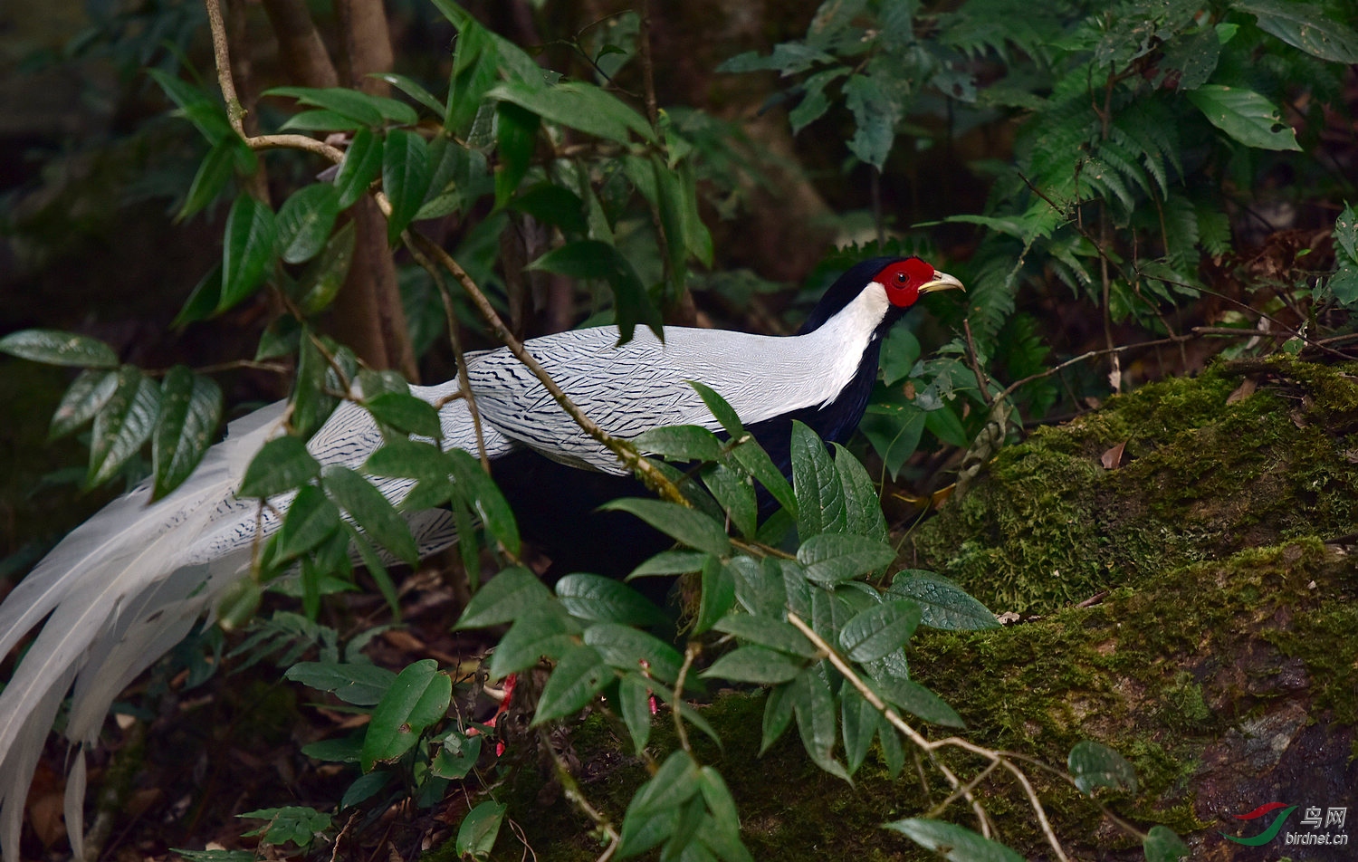 D8I_0585.jpg