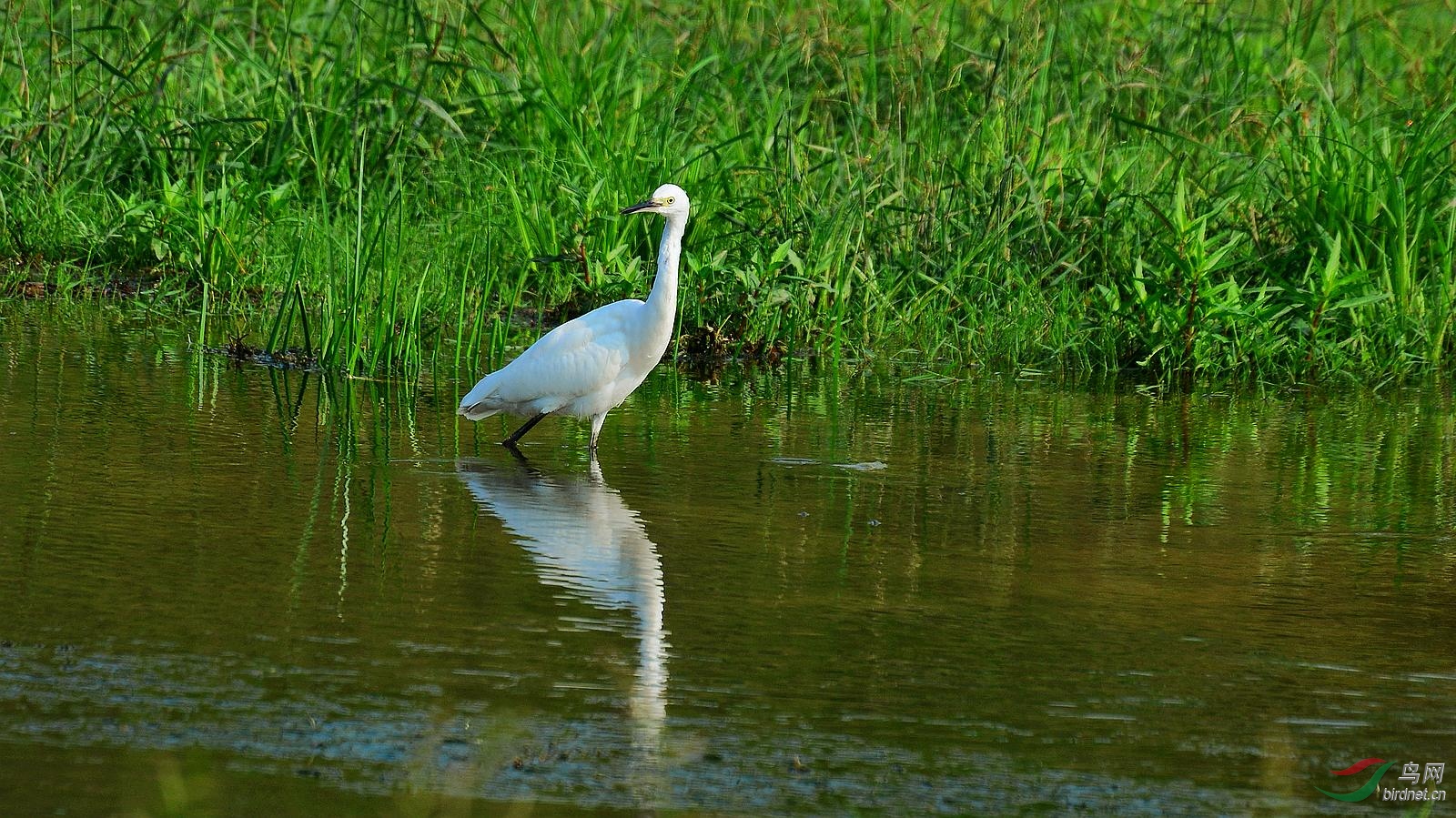 DSC_7158.JPG