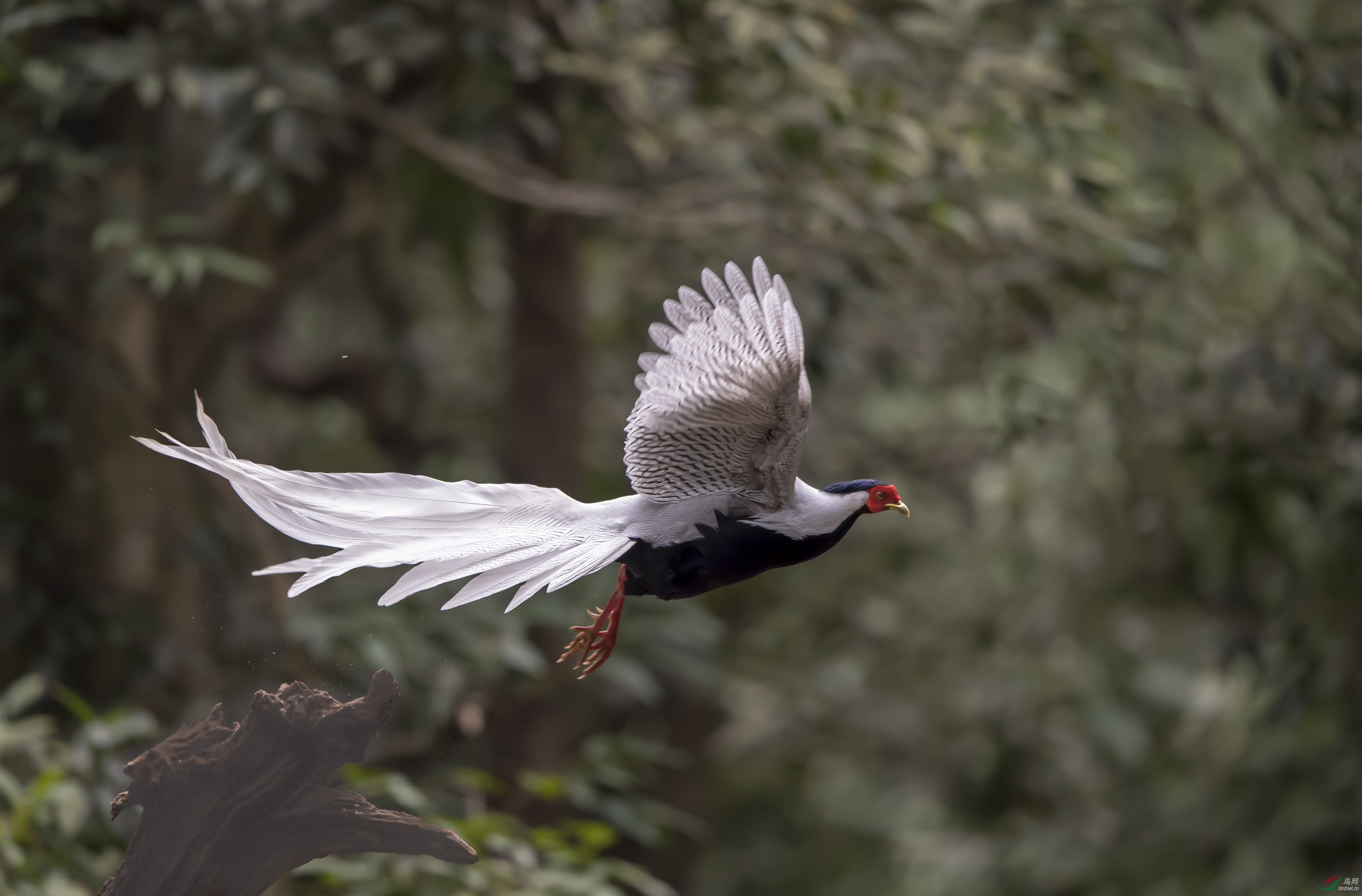DSC_5741.jpg