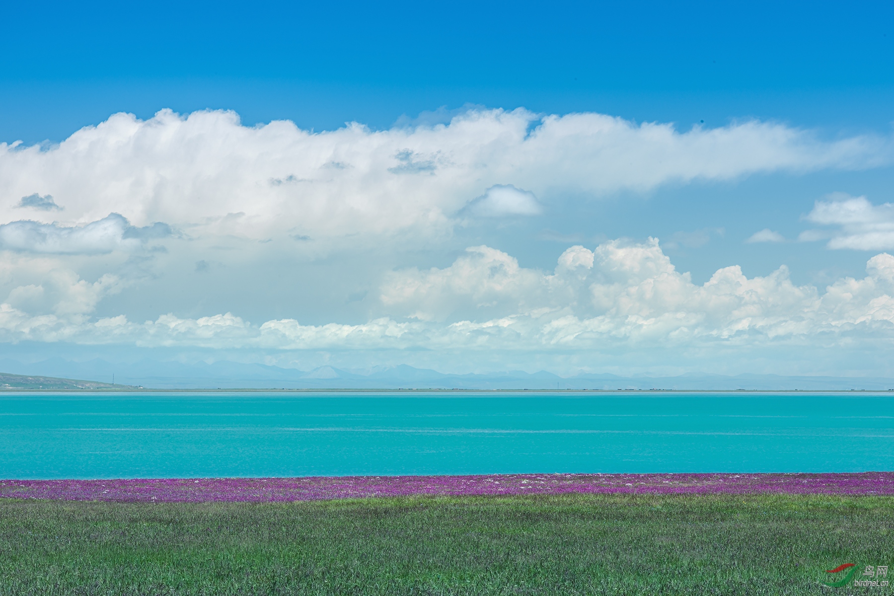 青海湖唯美风景图片图片