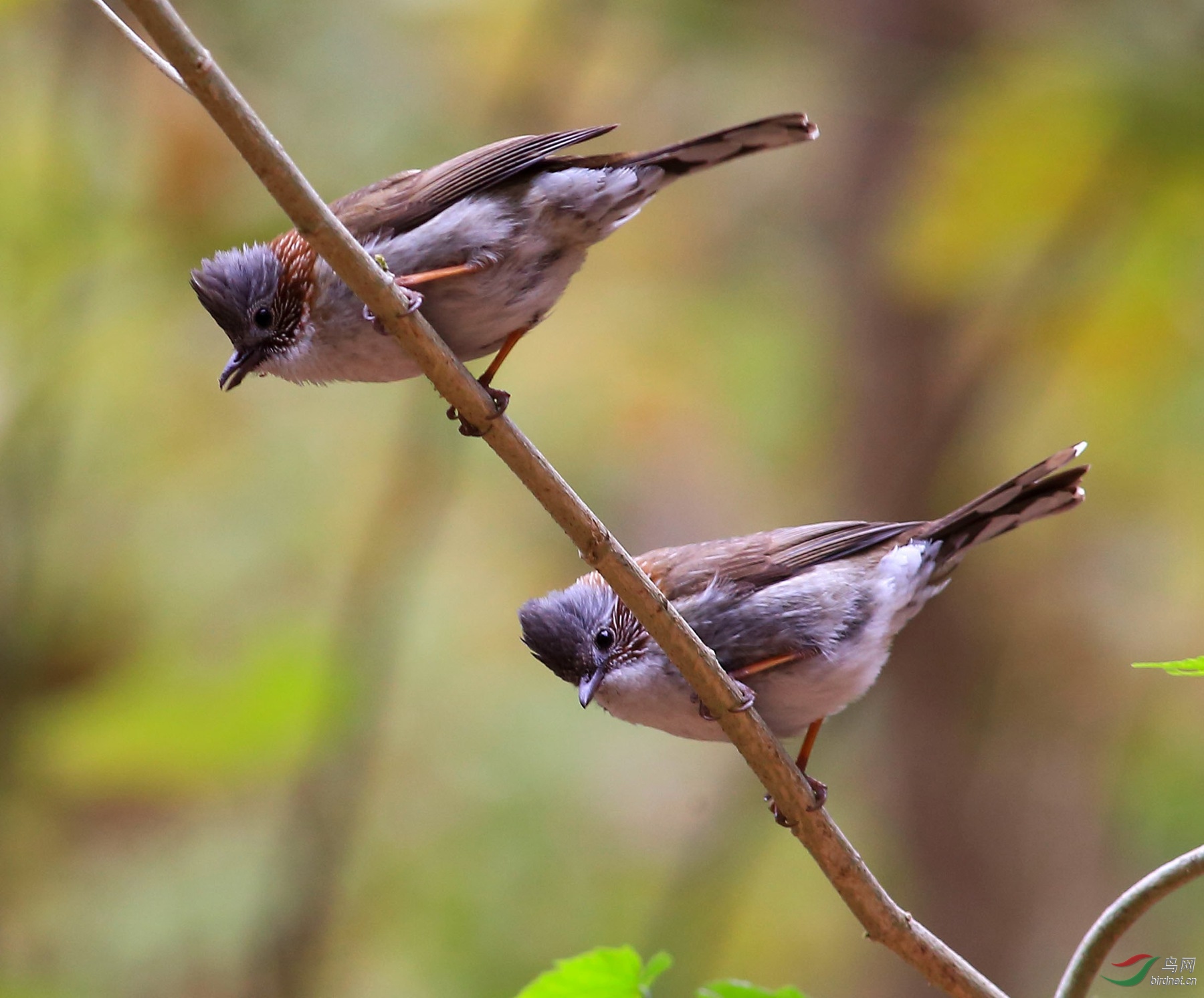 2020-01-18 11-42-13 (2).JPG