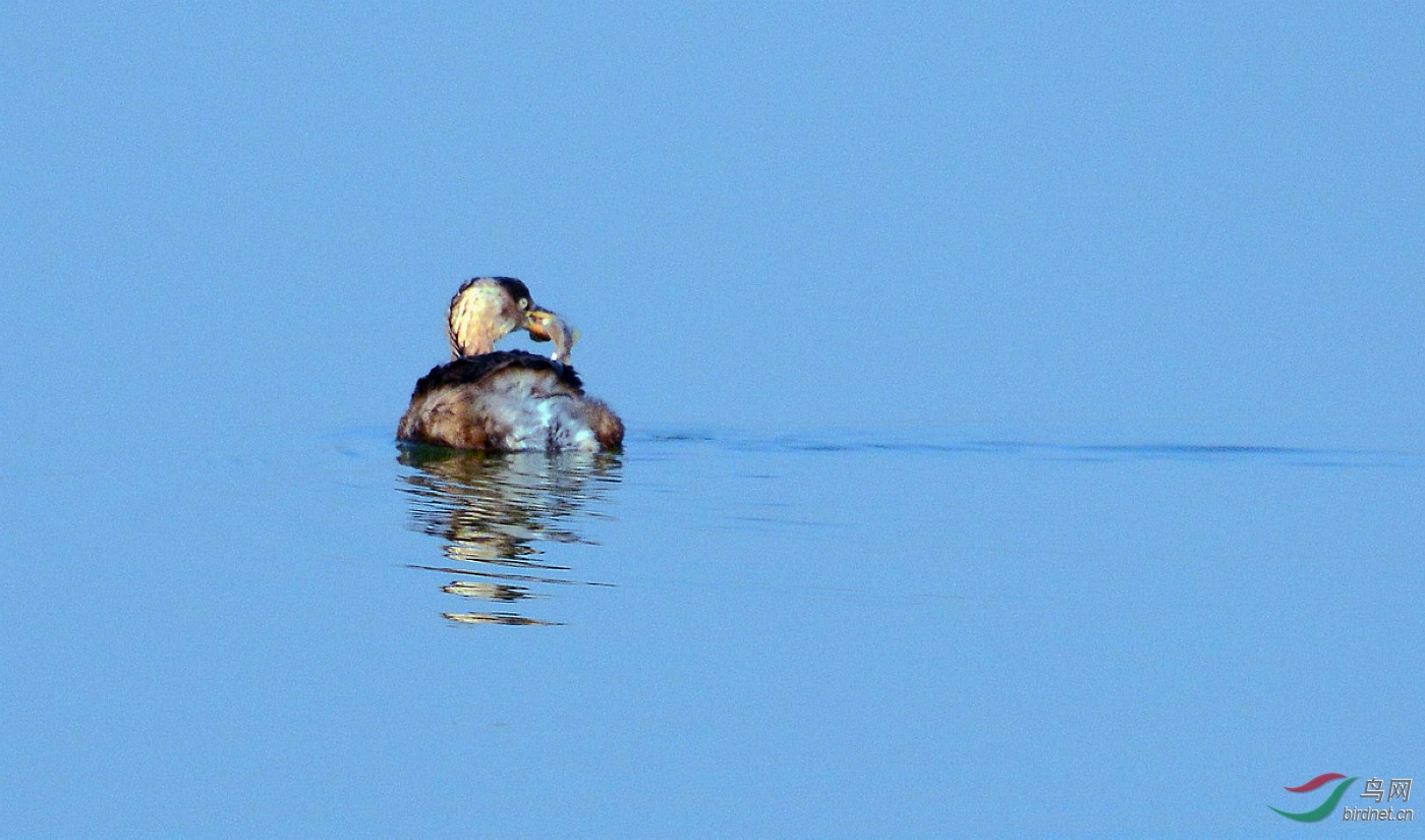 DSC_7918.JPG