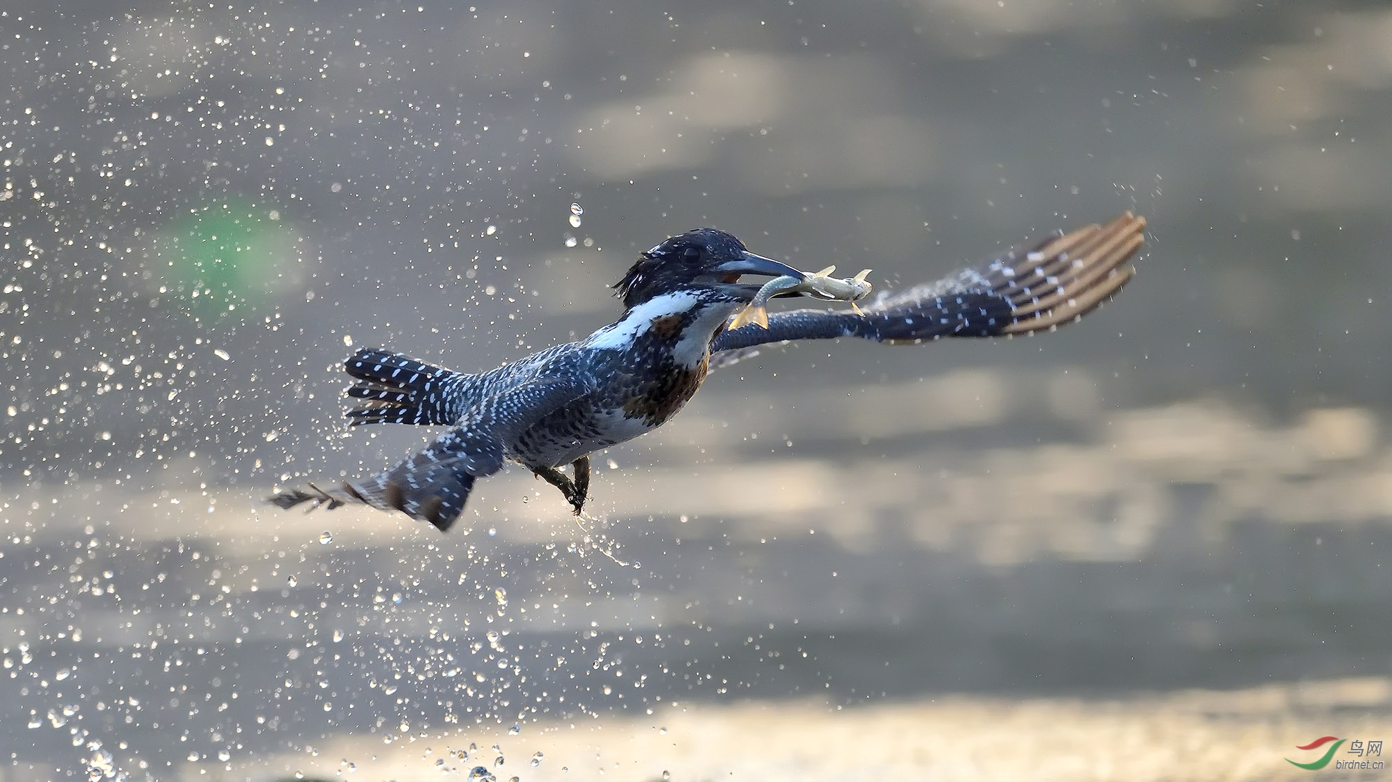 DSC_7835_��ʤ���� �ϴ�.jpg