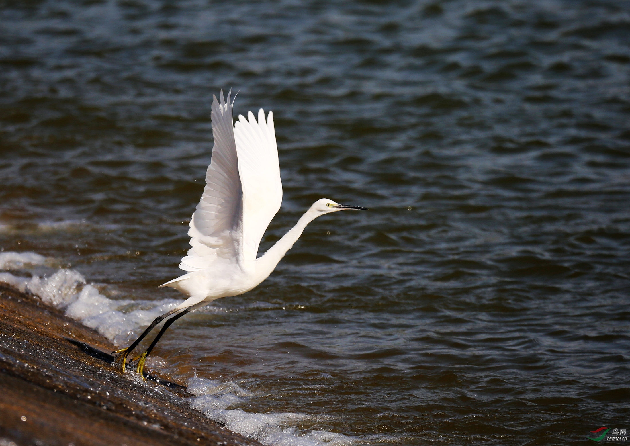 7M7A4917 ����.jpg